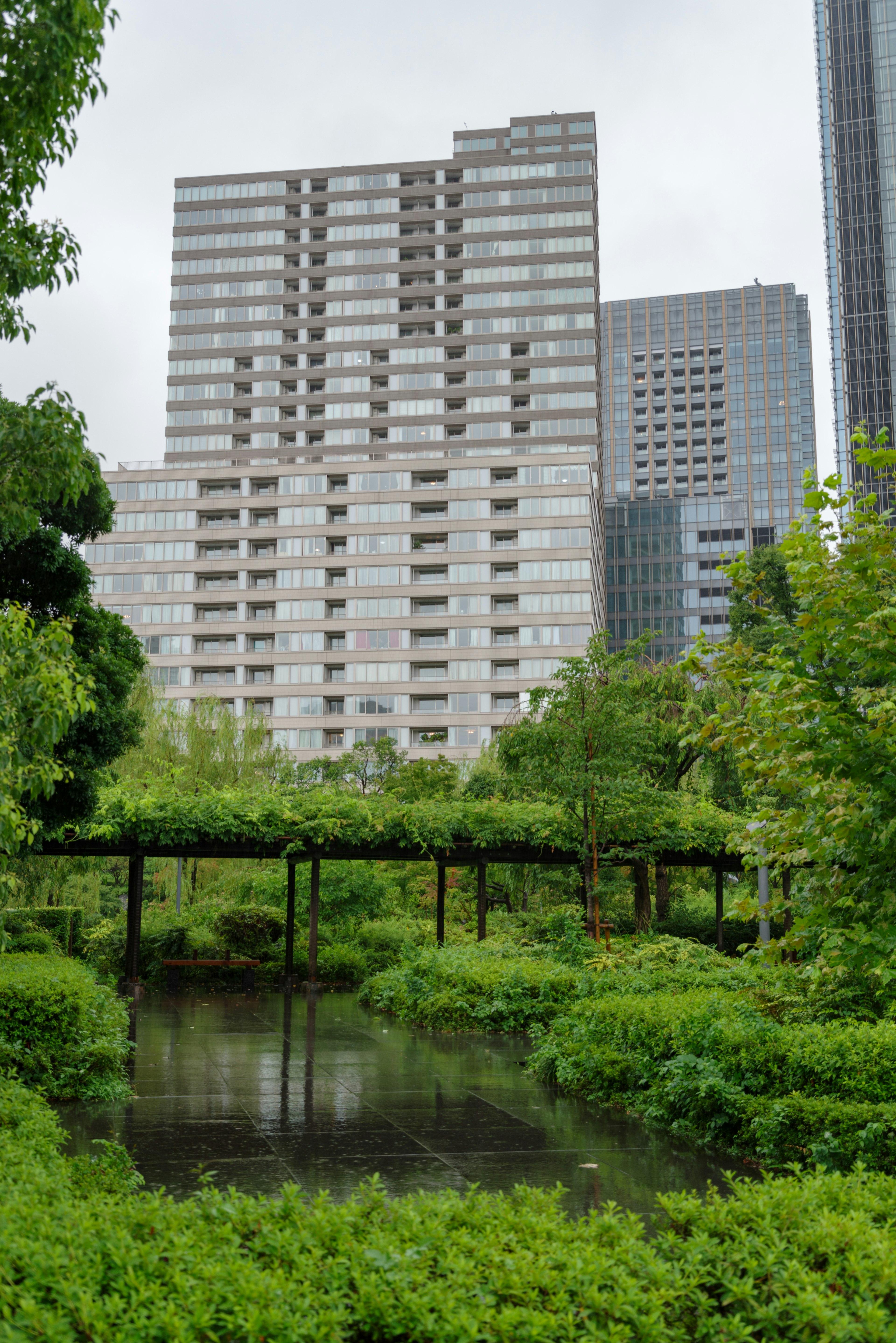 公園の緑と近代的な高層ビルを背景にした水のある風景