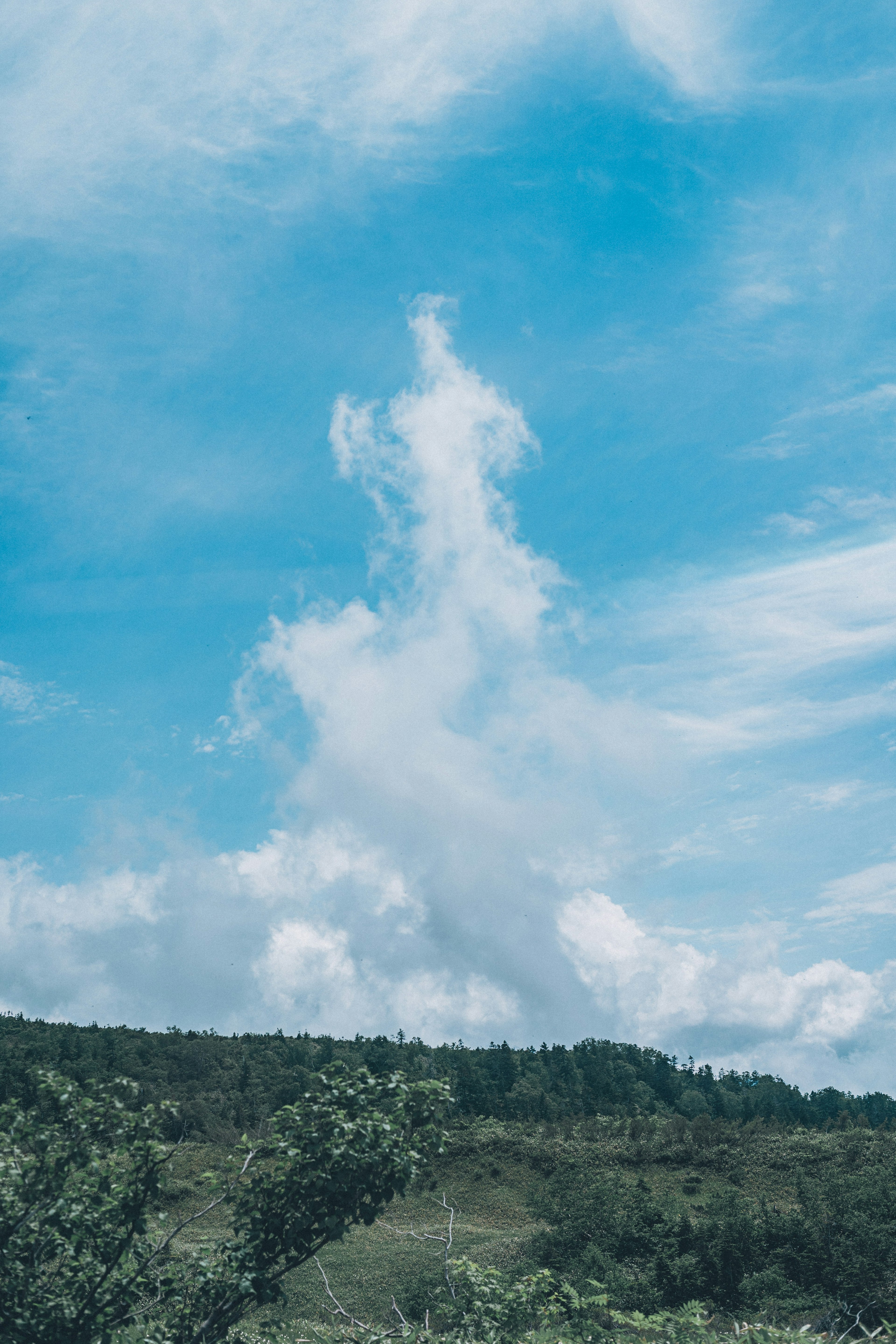 Landschaft mit blauem Himmel und markanten weißen Wolken