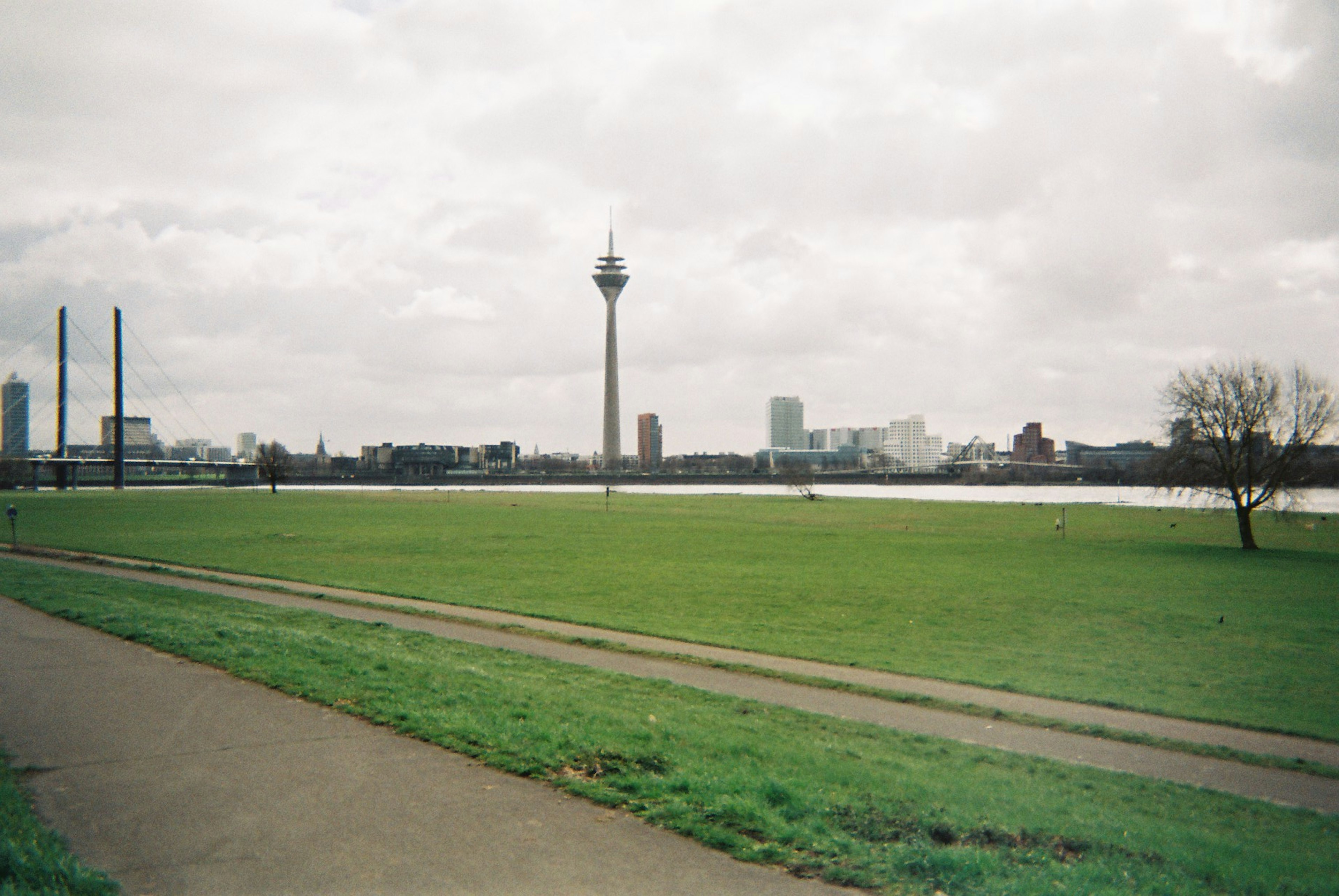 Taman hijau Düsseldorf dengan Sungai Rhine dan menara TV di latar belakang