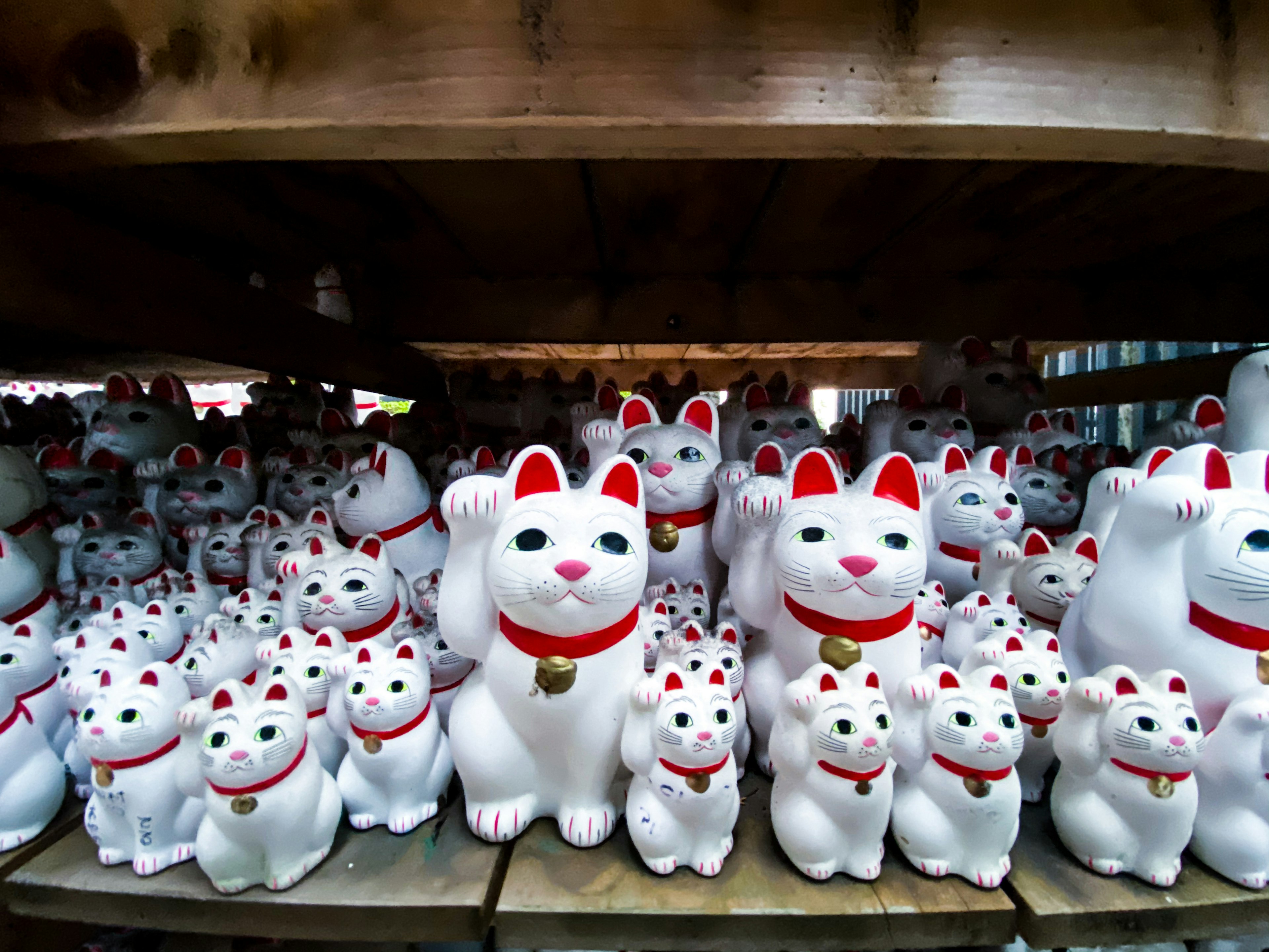 A collection of white ceramic lucky cat figurines arranged in rows