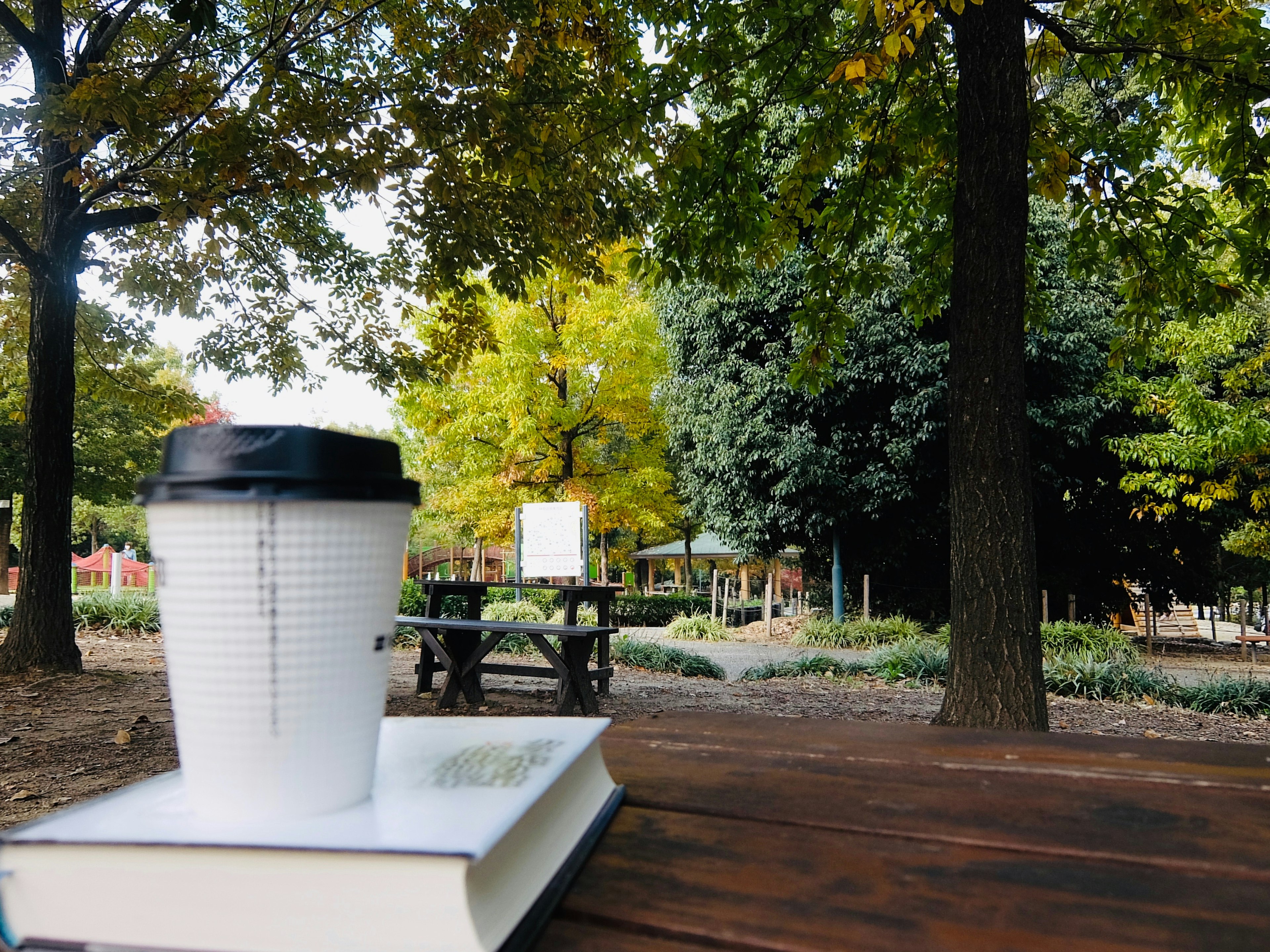 A photo featuring a book and a coffee cup on a park table surrounded by green trees and autumn colors