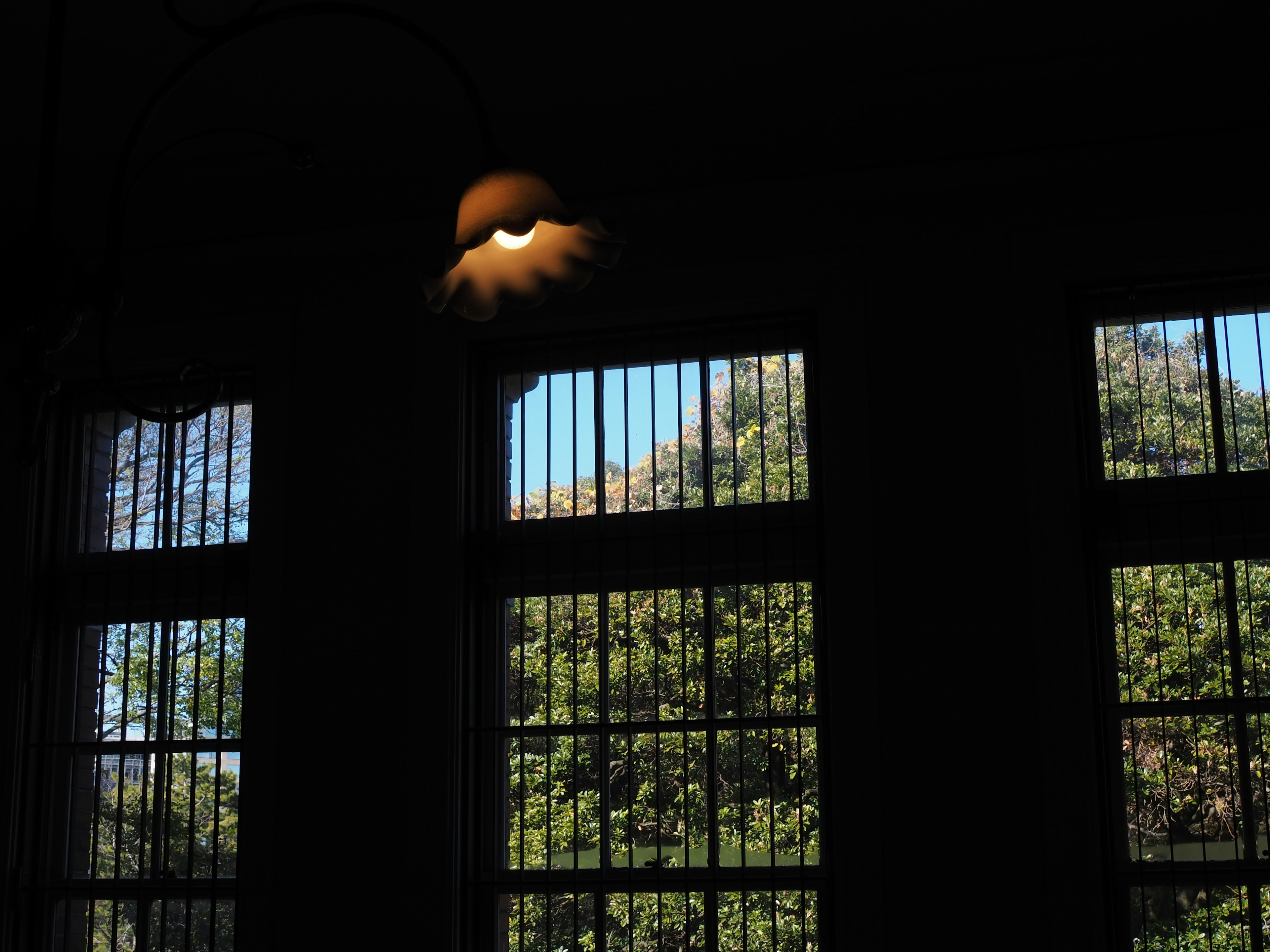 Interior of a room with bright windows and silhouettes of plants