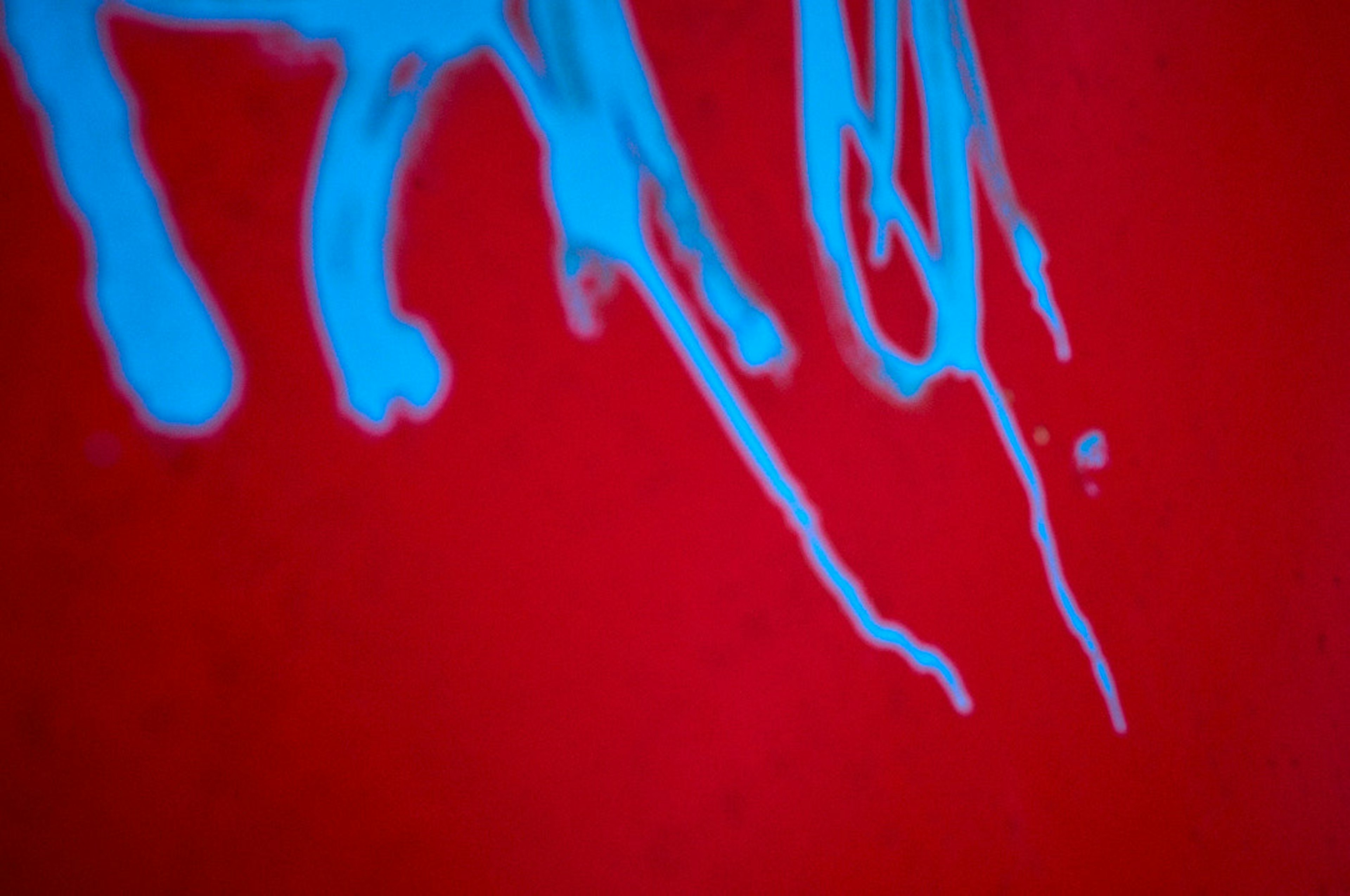 Gouttes de peinture bleue sur un fond rouge vif