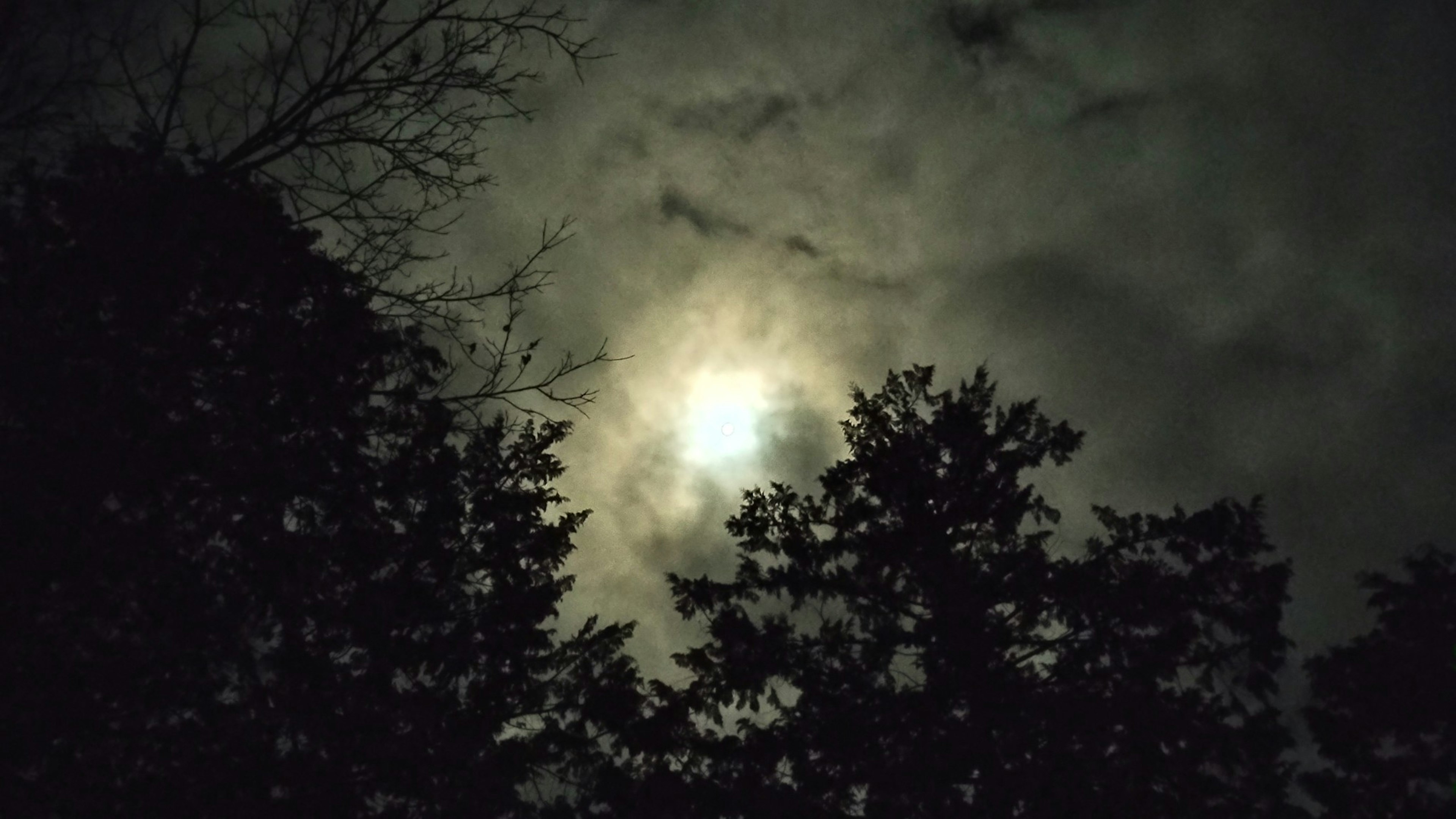 Lune partiellement obscurcie par des nuages sombres avec des silhouettes d'arbres