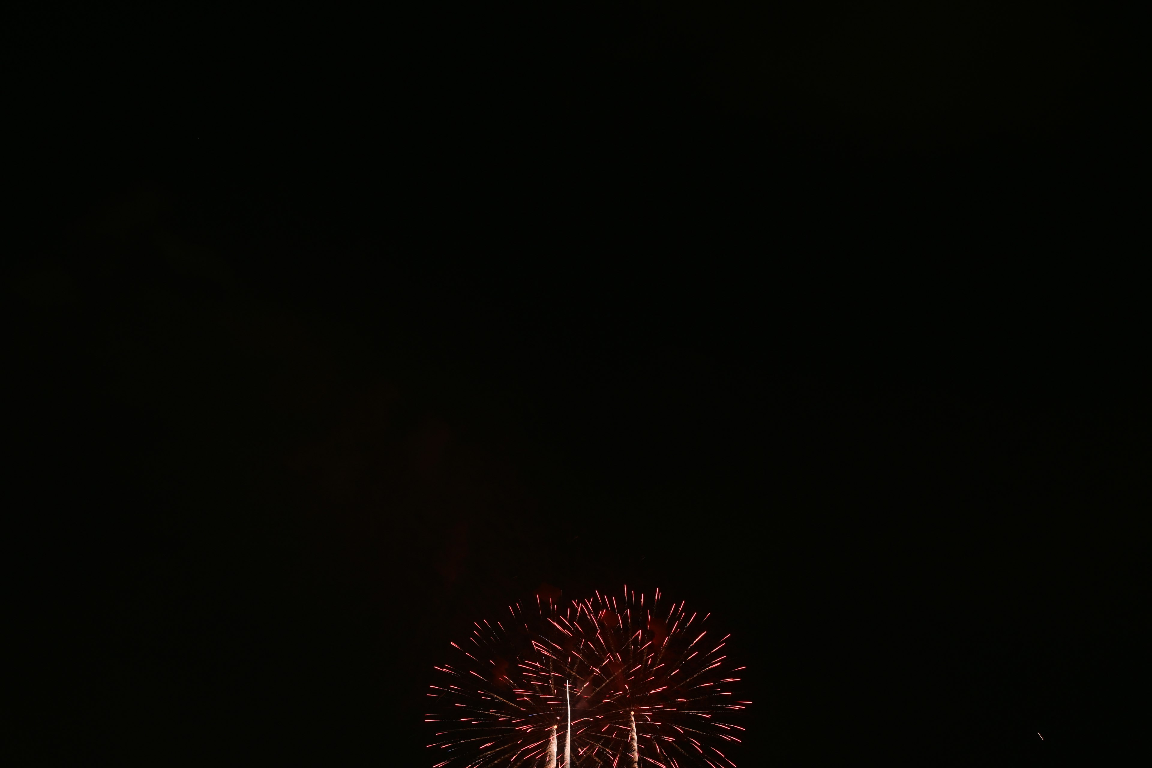 夜空に咲く花火の美しいショー