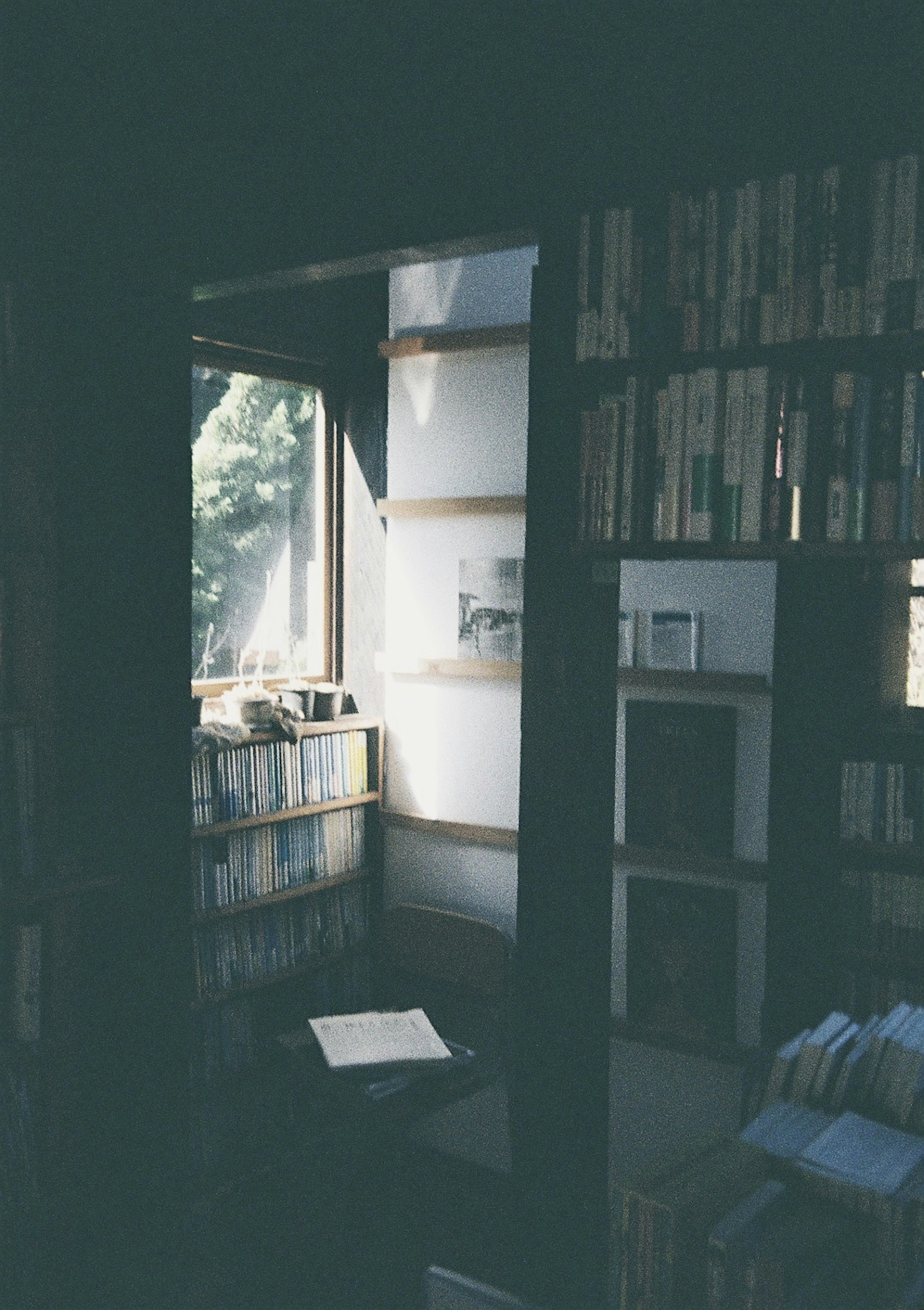 Dunkel beleuchteter Raum mit Bücherregalen und Licht, das durch das Fenster fällt