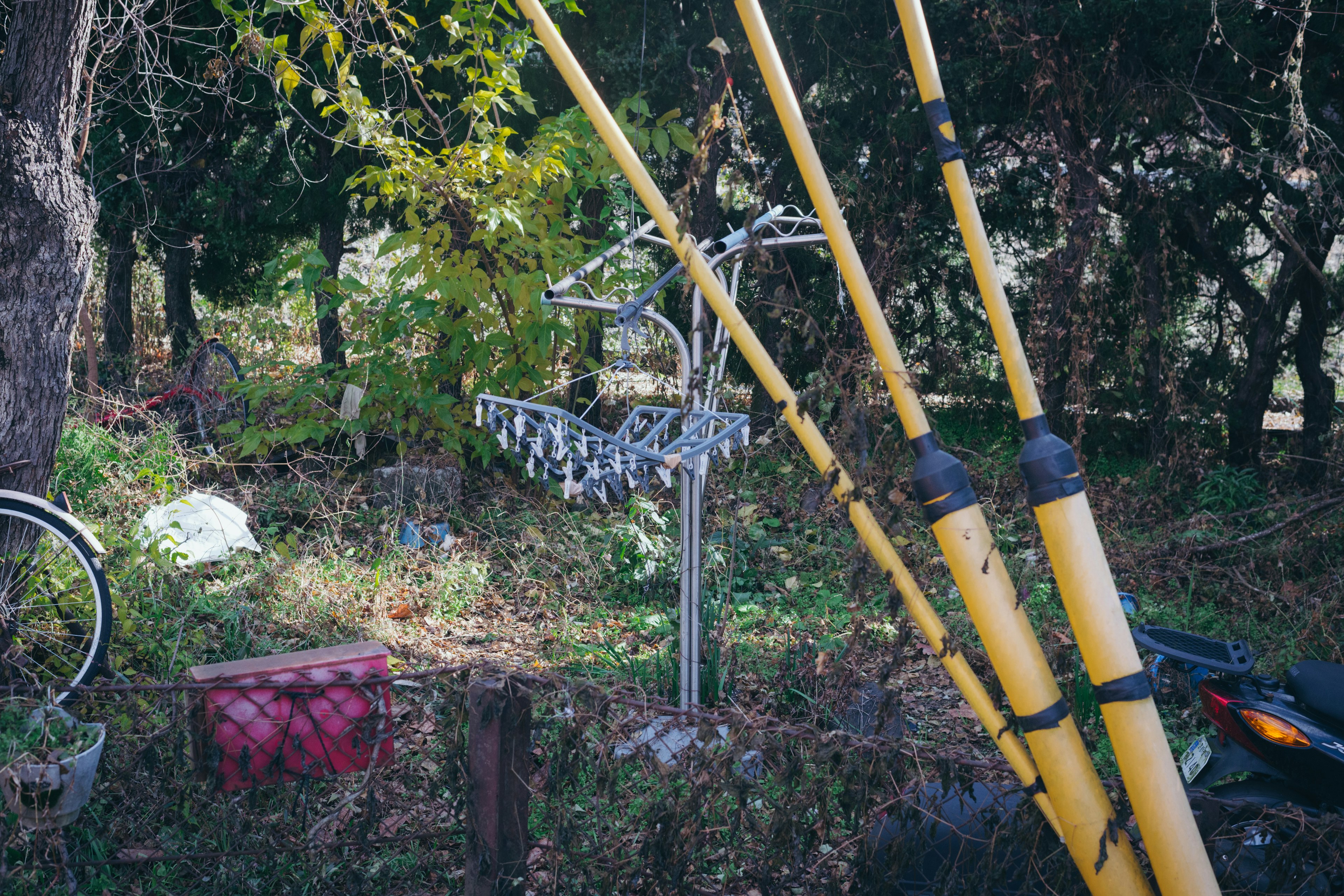 Escena con un soporte de metal y postes amarillos en un jardín