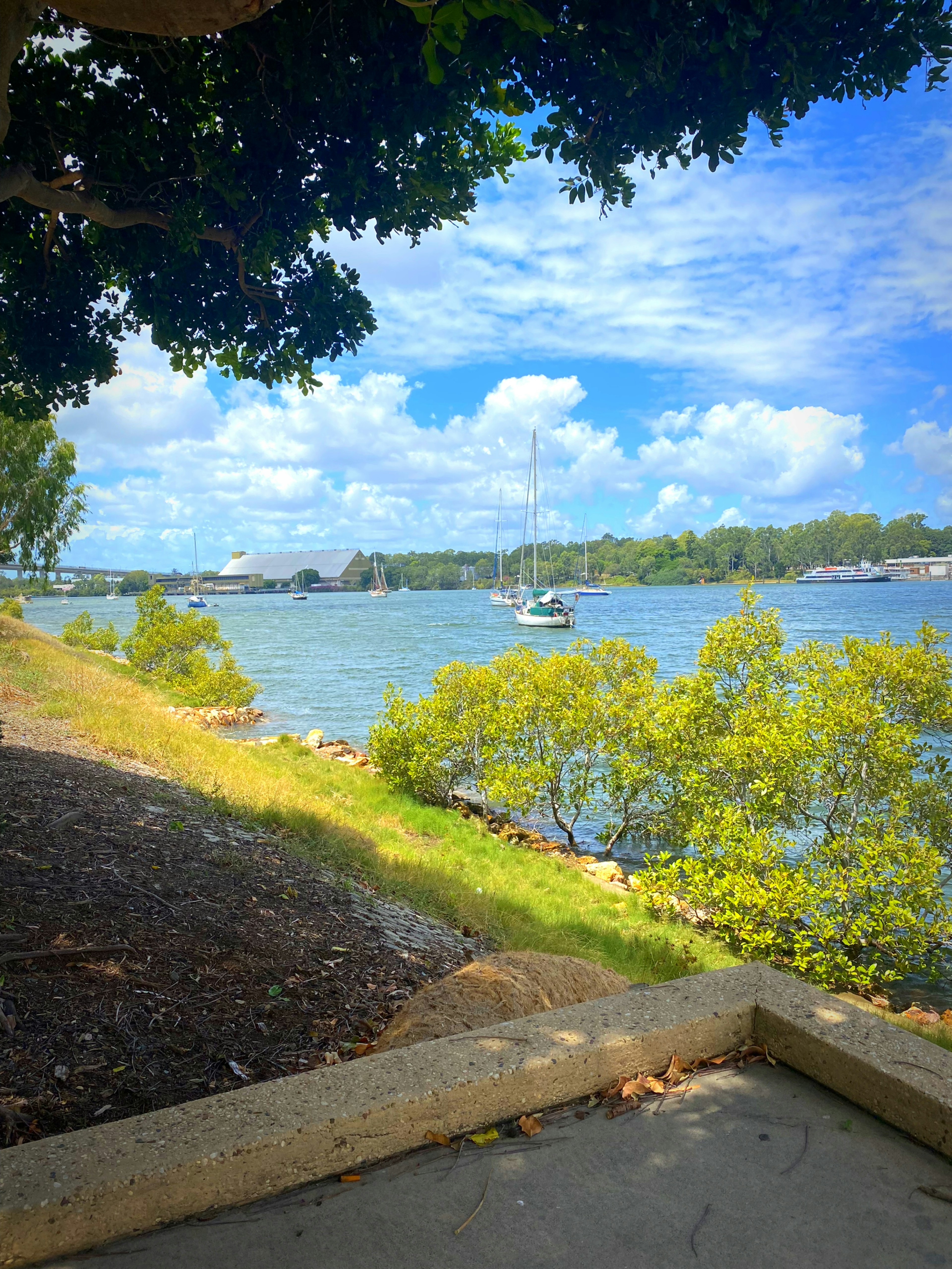 Vista panoramica di un fiume con cielo blu e nuvole bianche circondato da alberi verdi