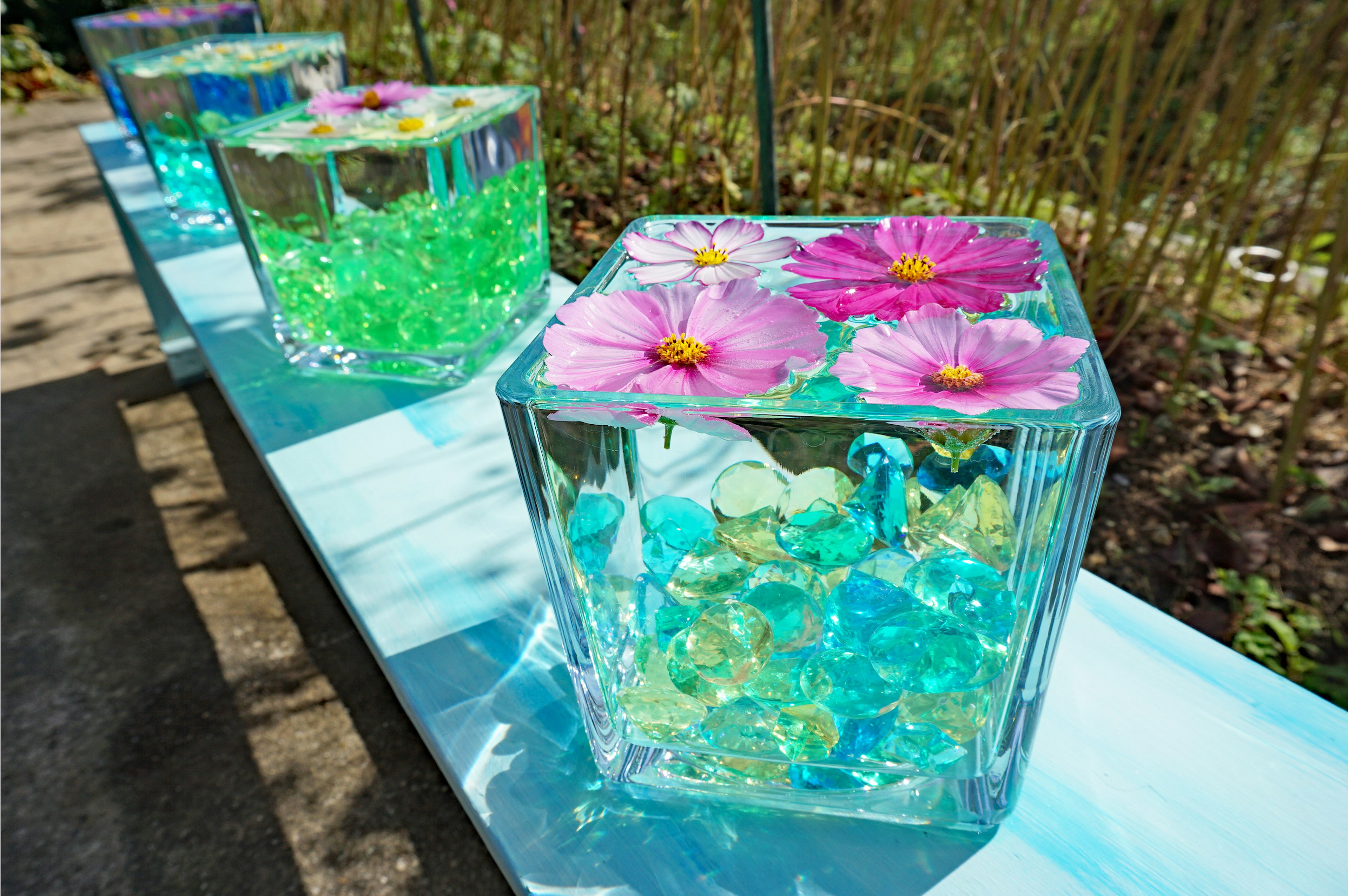 Farbige Wasser und Blumen in transparenten Blöcken