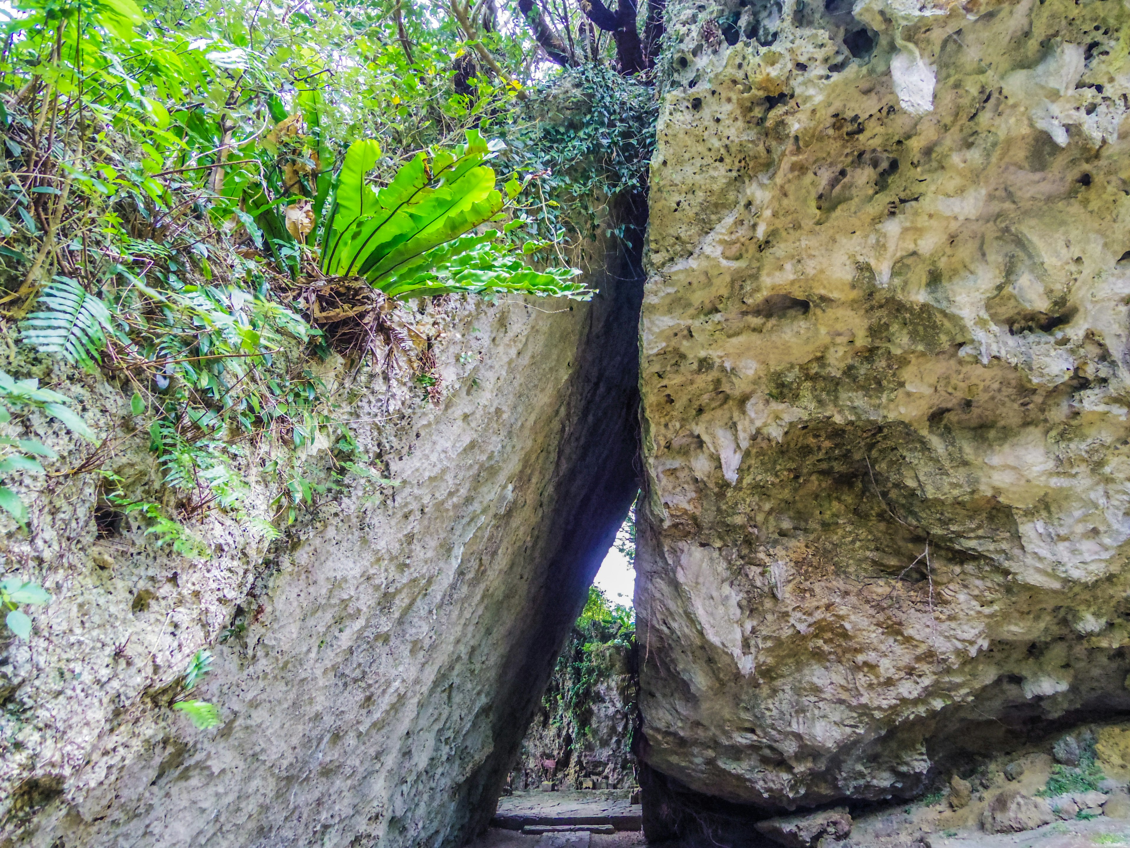 Narrow path between large rocks with green foliage