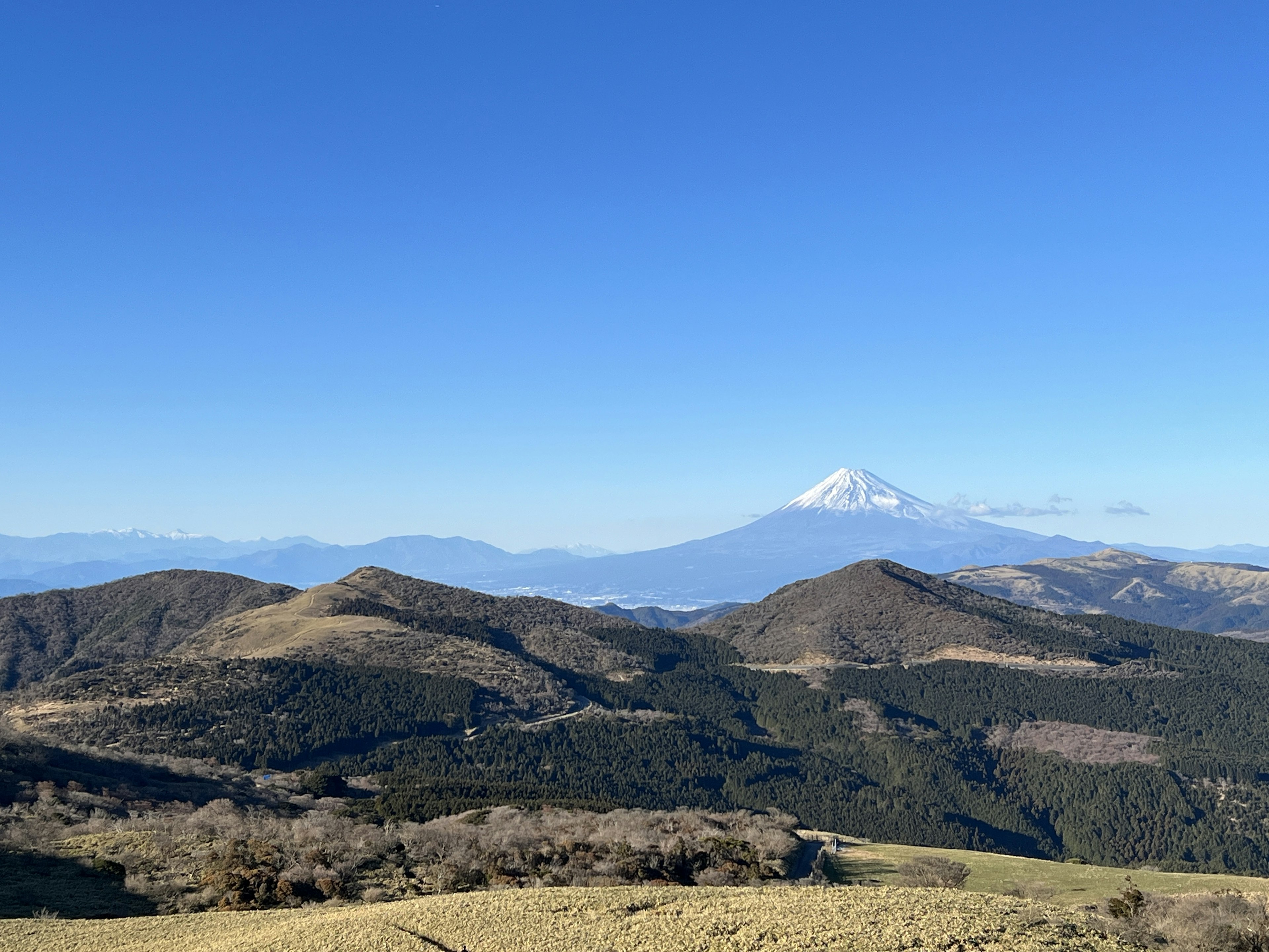 Montagna innevata sotto un cielo blu con colline verdi in primo piano