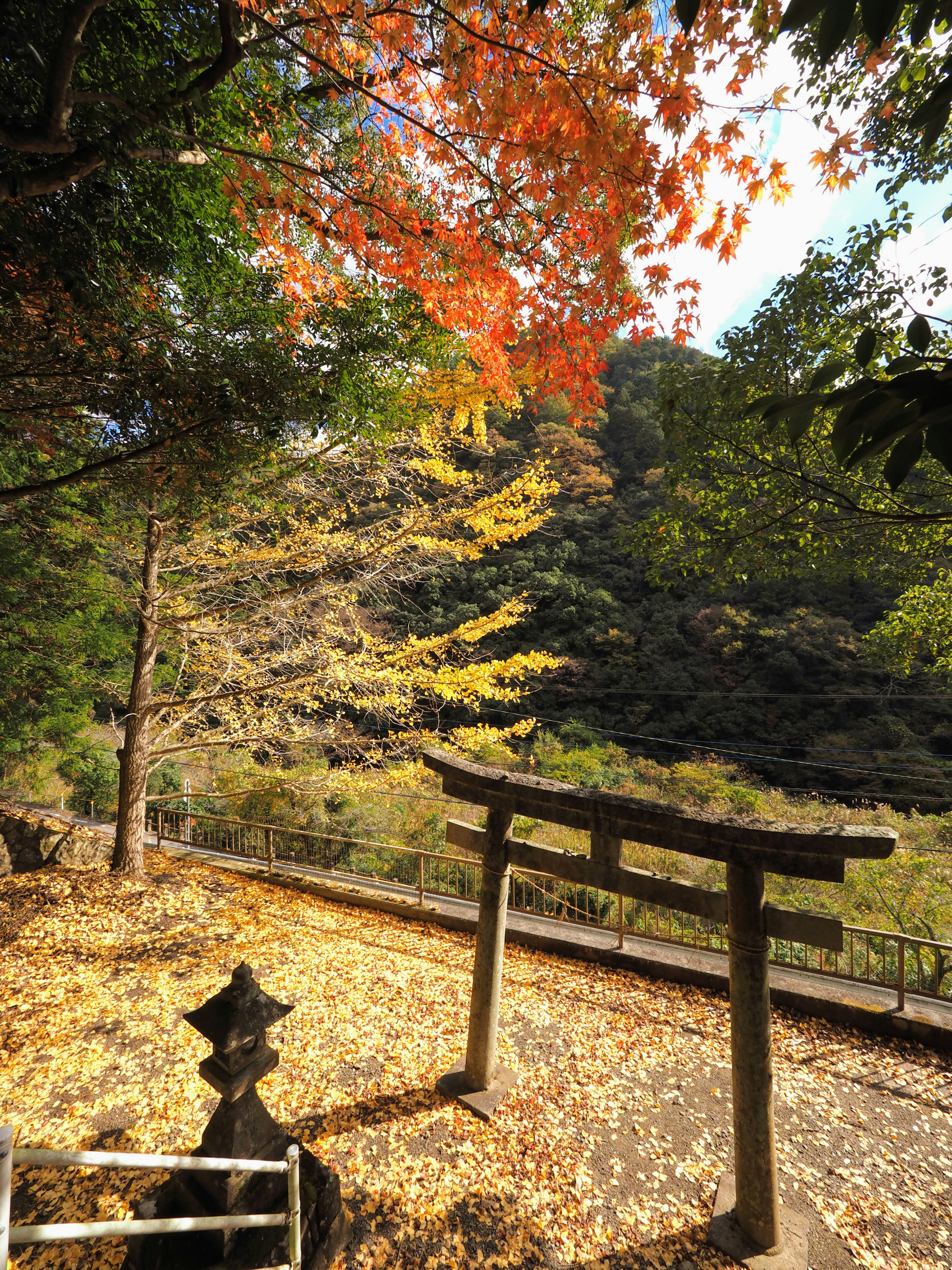 Scenic view featuring a torii gate and stone lantern surrounded by autumn foliage