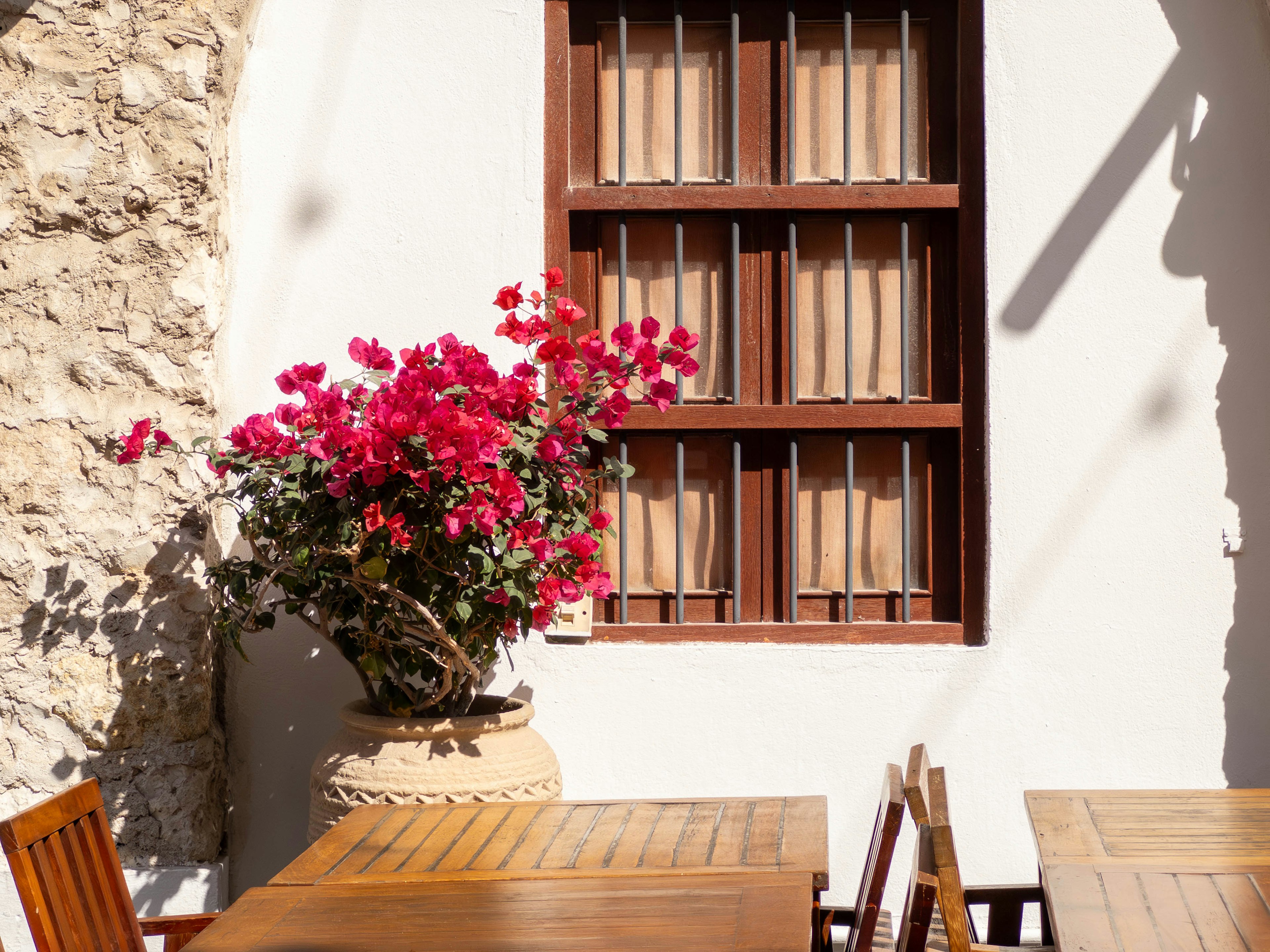 Escena de café al aire libre con mesas de madera y flores vibrantes de bugambilias cerca de una ventana