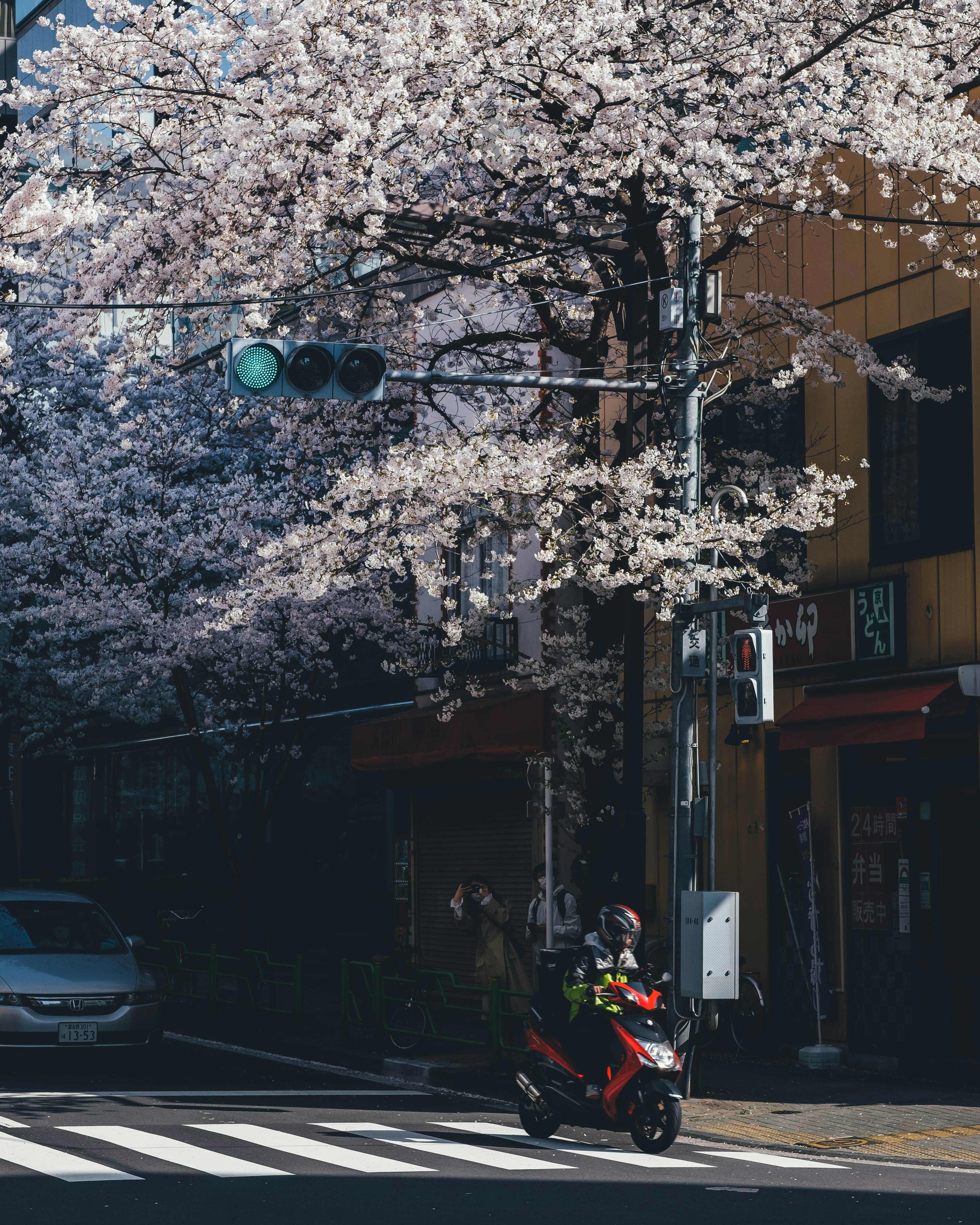 Scooter rojo estacionado debajo de cerezos en flor en una intersección con semáforo verde