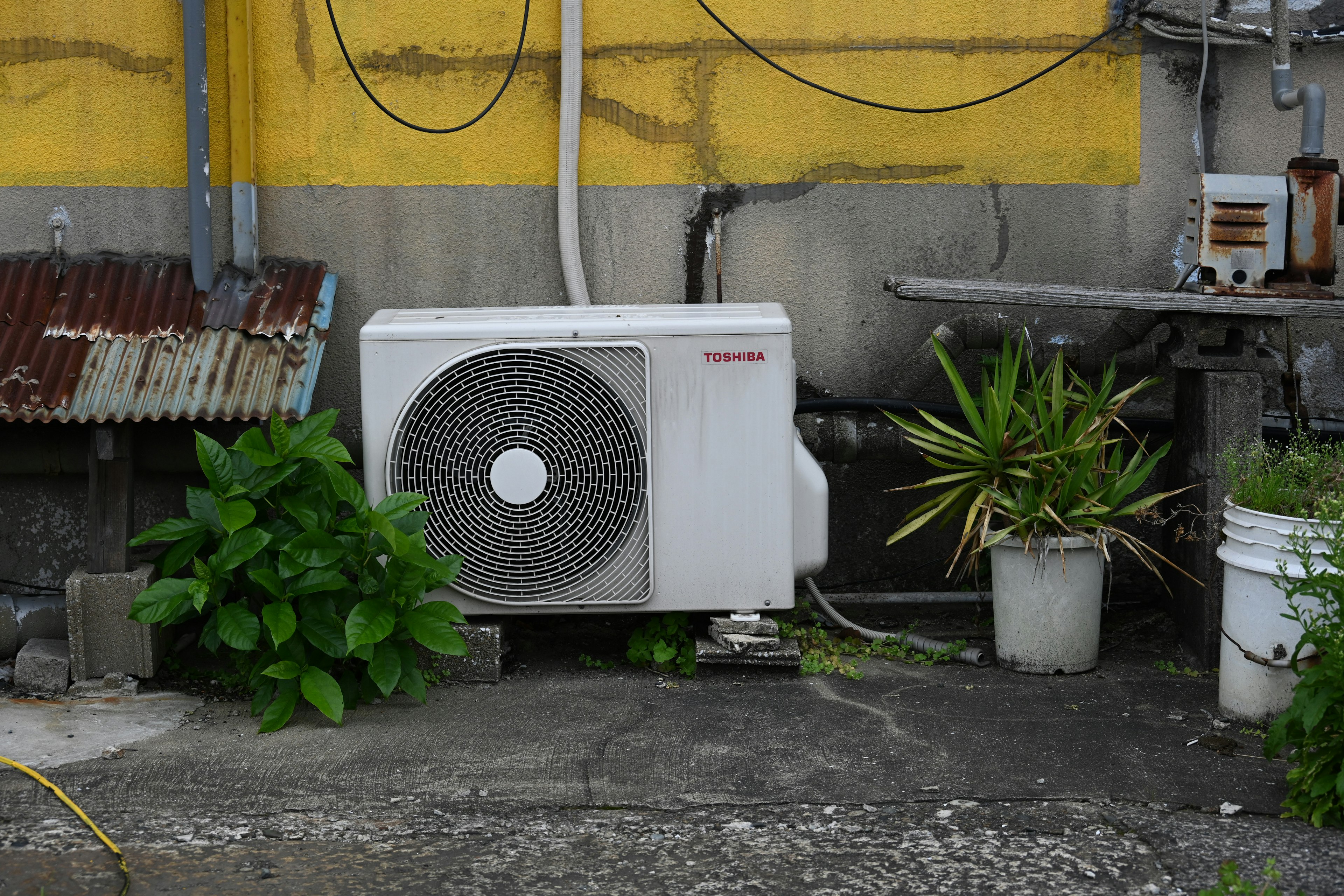 Outdoor scene featuring a white air conditioning unit and surrounding plants