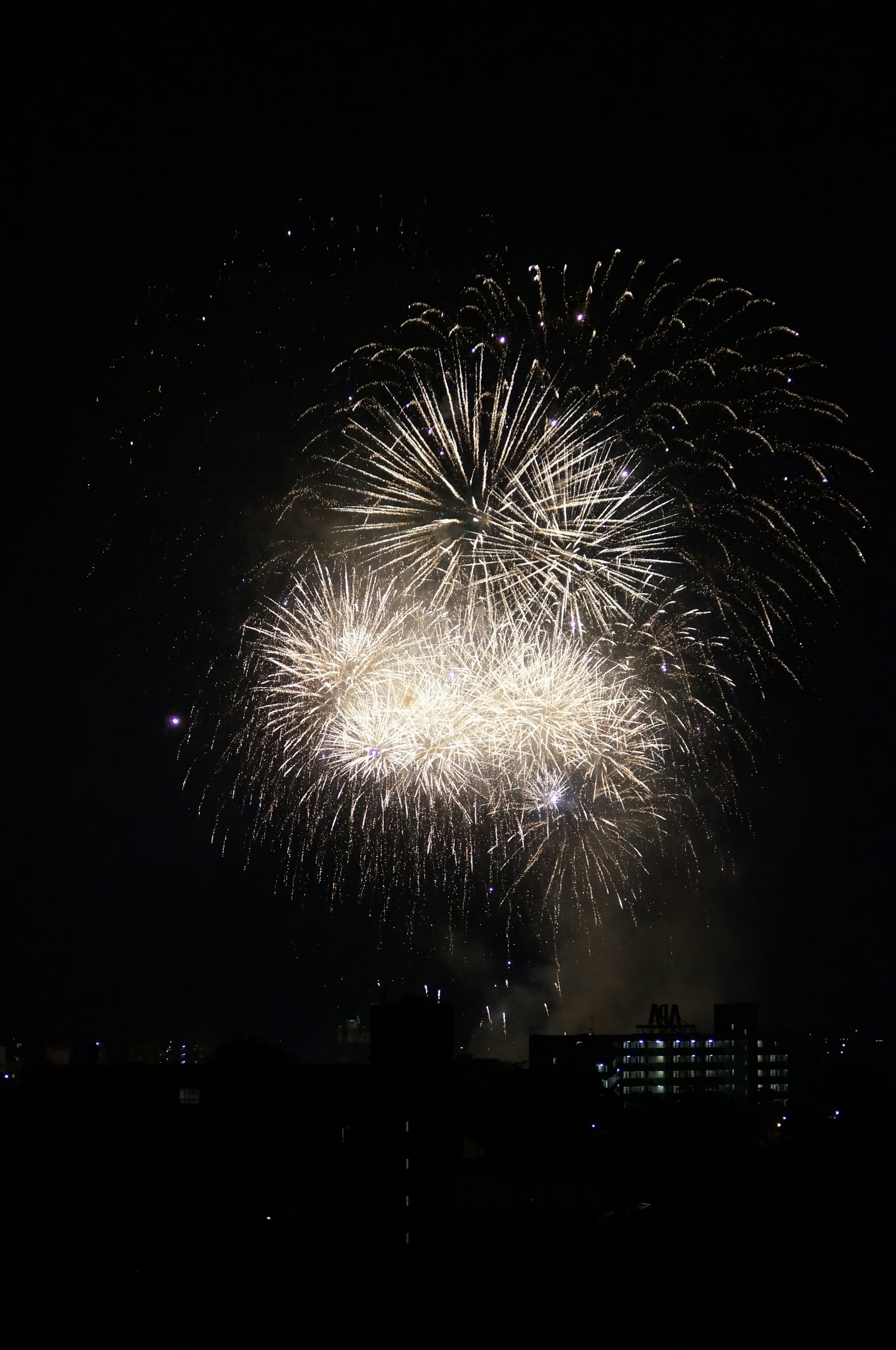 Fireworks illuminate the night sky in a spectacular display