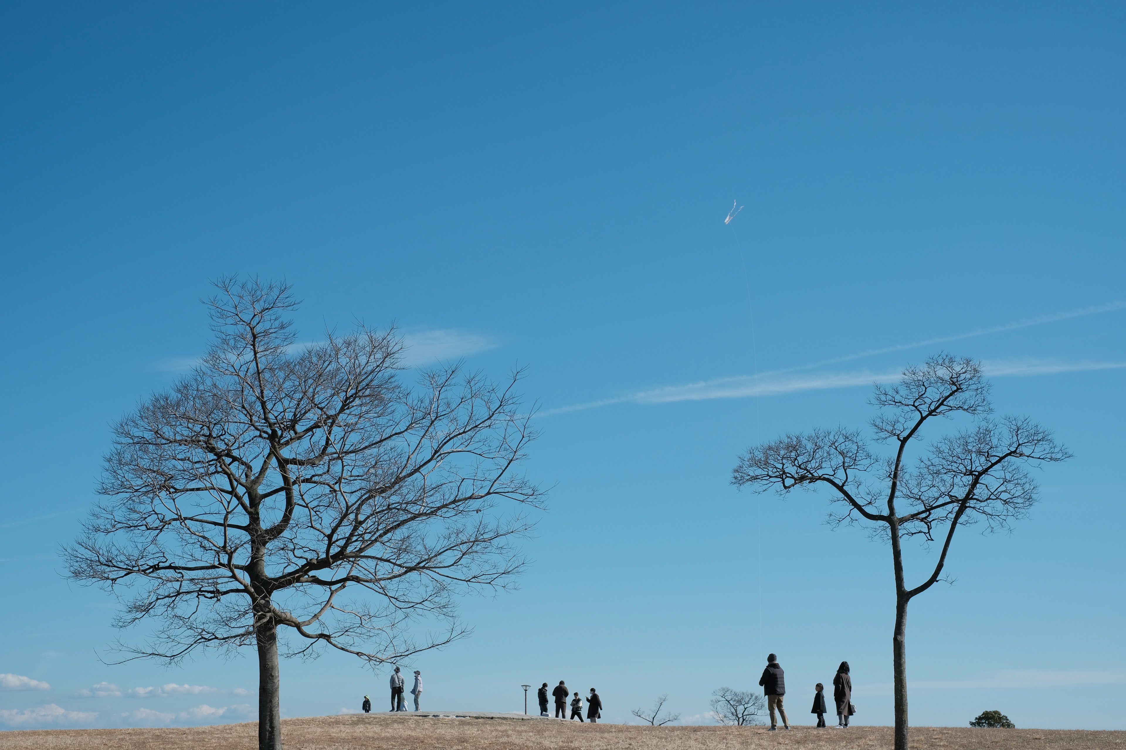 青い空と枯れた木々のシルエットに人々が立っている風景