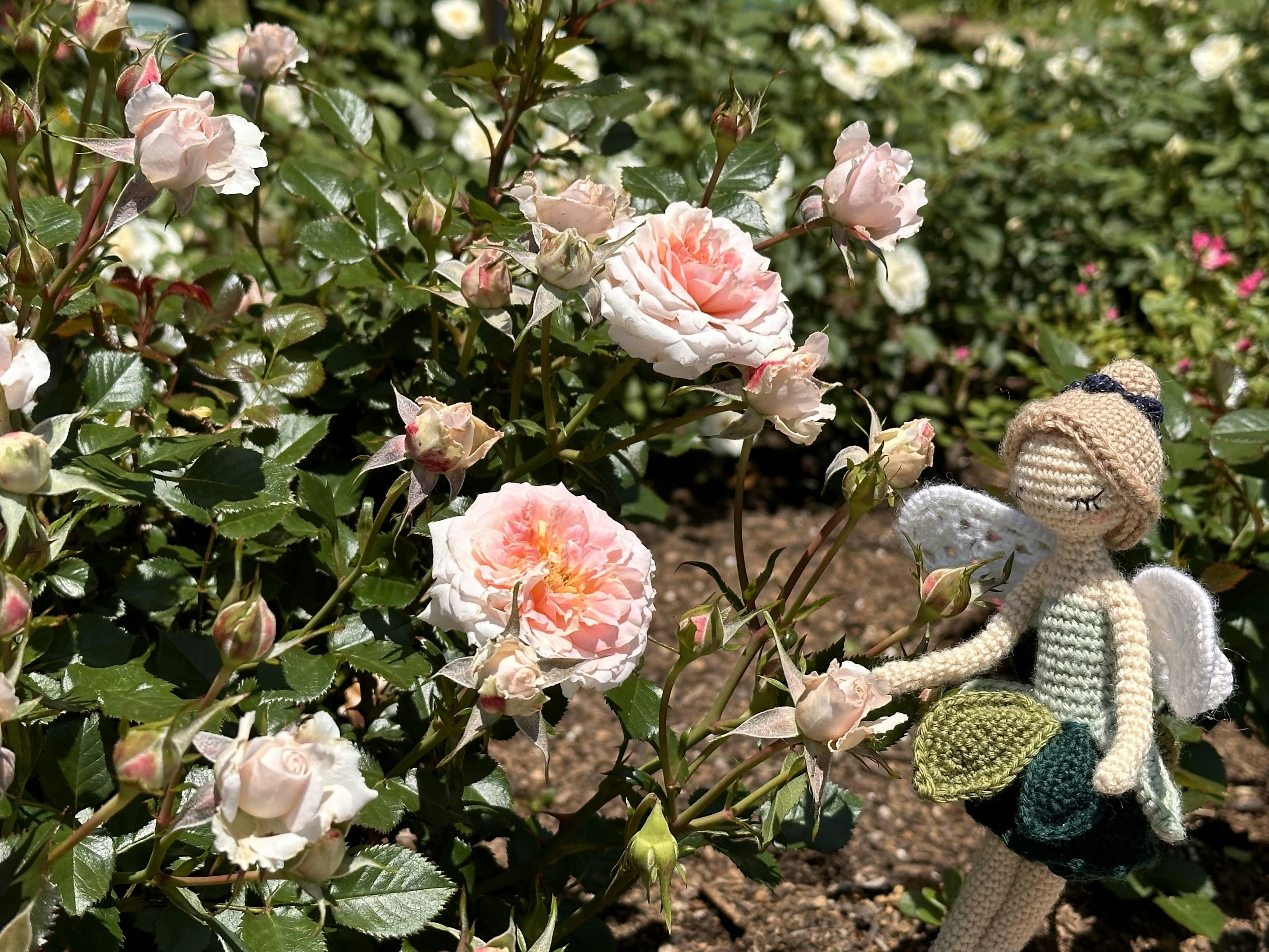 Una pequeña muñeca de hada junto a rosas en flor en un jardín