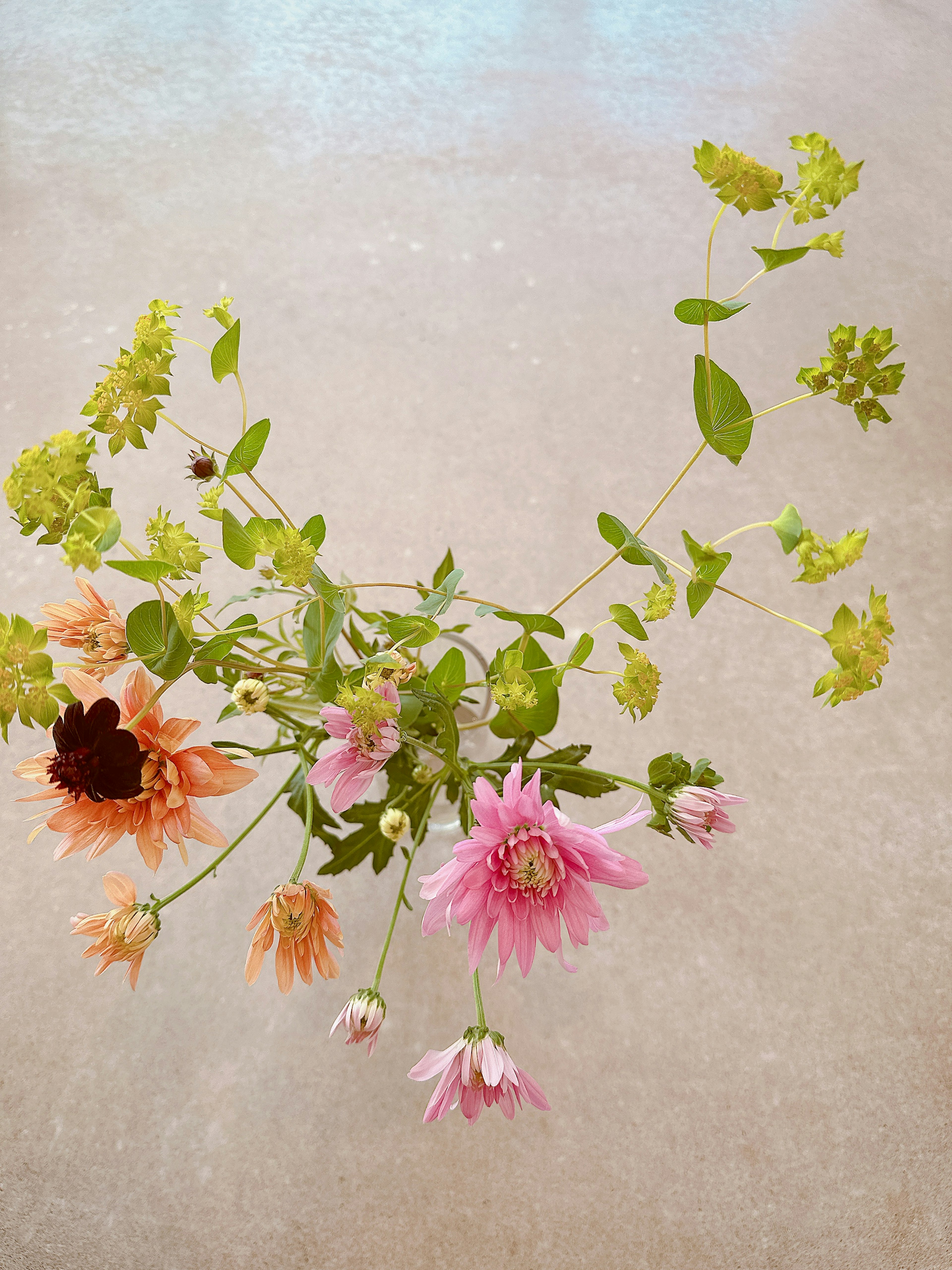 Anordnung von bunten Blumen und grünen Blättern auf einem Tisch