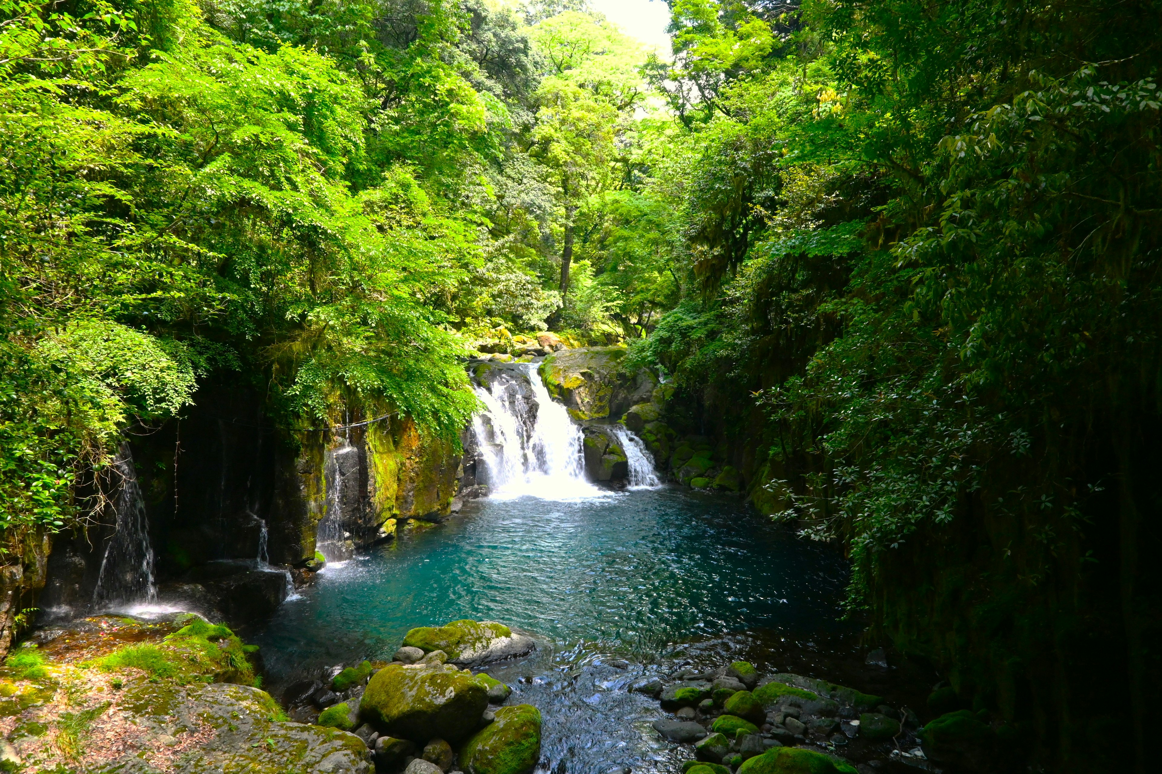 緑豊かな森に囲まれた美しい滝と静かな水の流れ