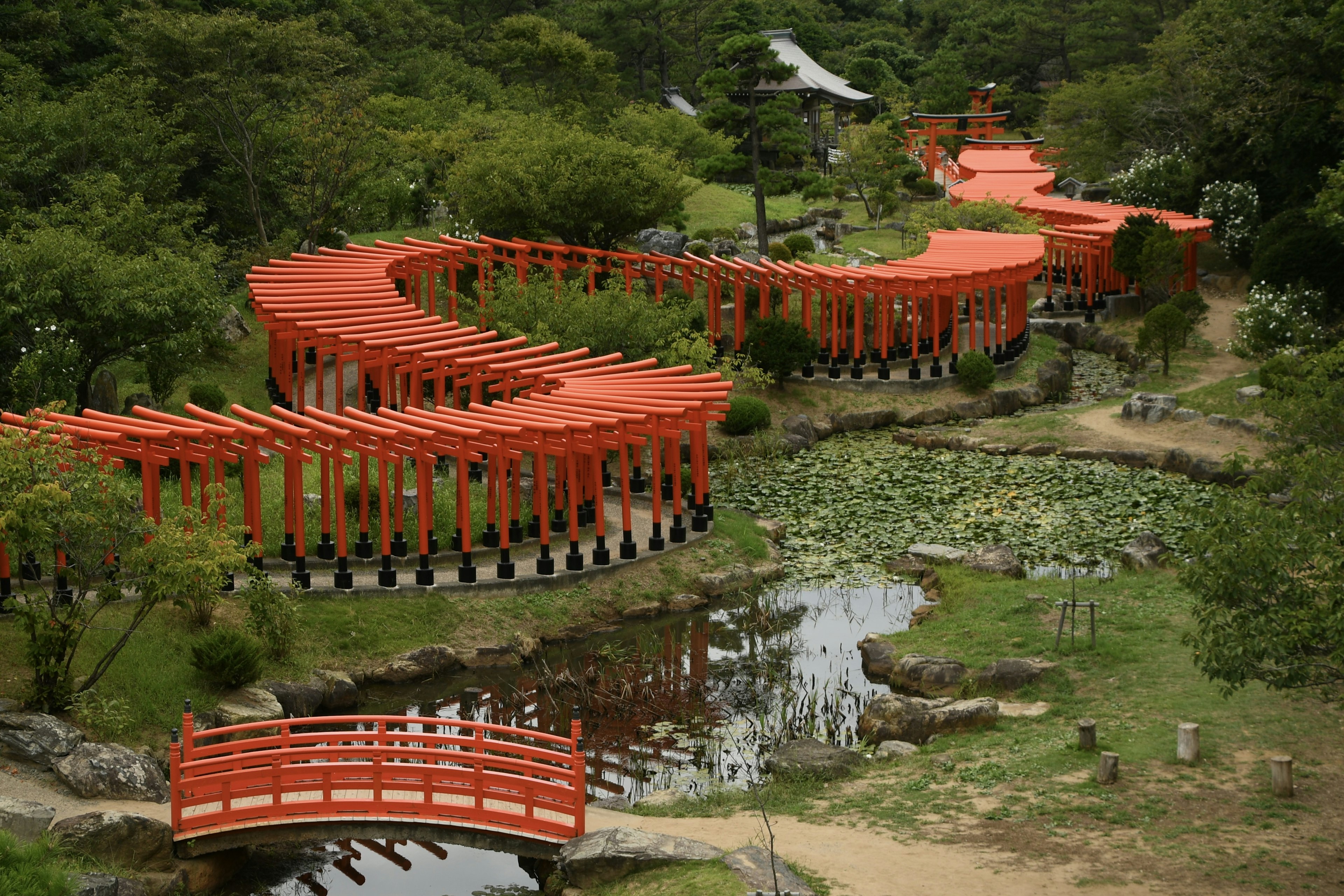 赤い鳥居が並ぶ曲がりくねった小道と池のある日本庭園の風景