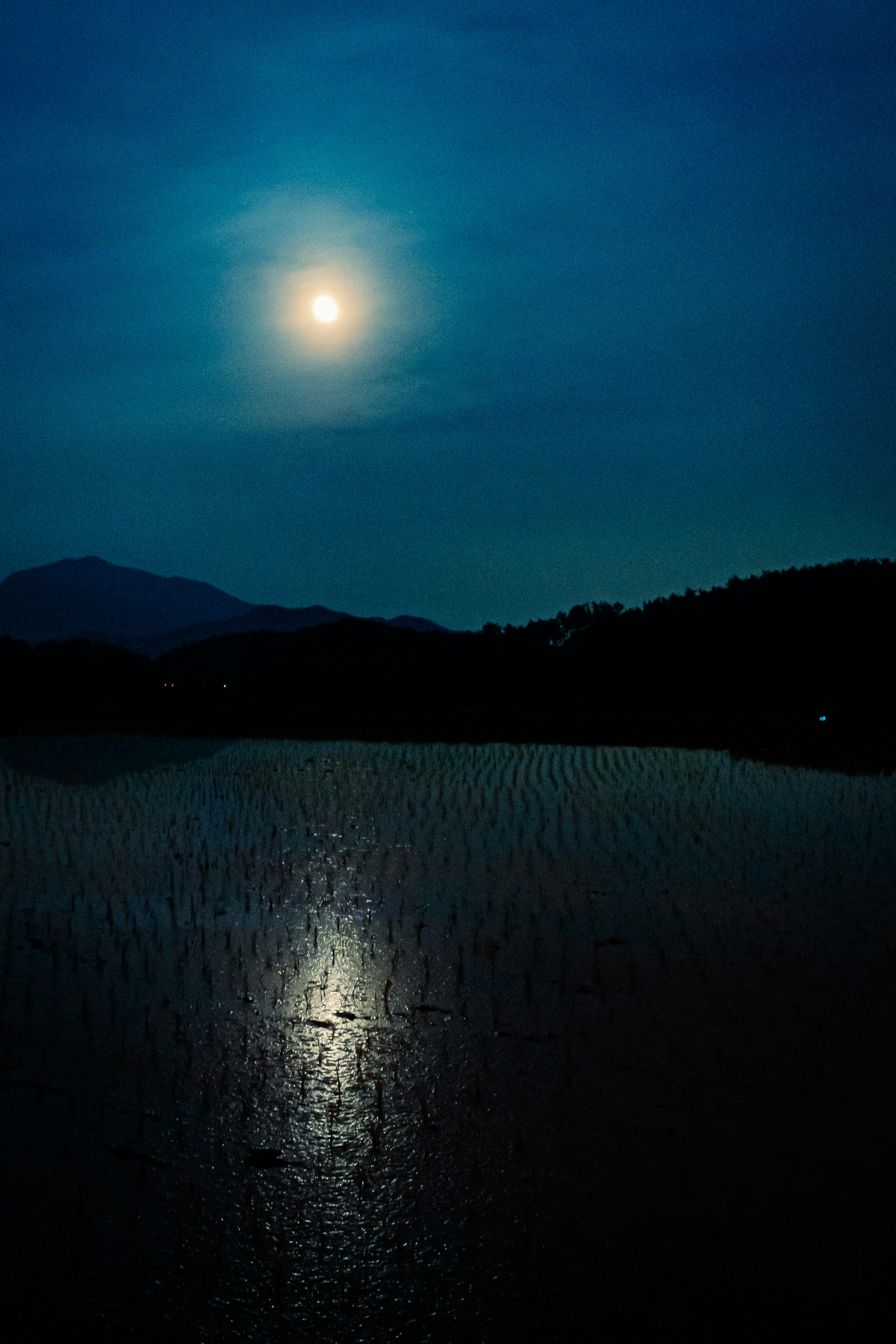 在蓝色夜空下，一轮明亮的满月映照在水面上的美丽景象