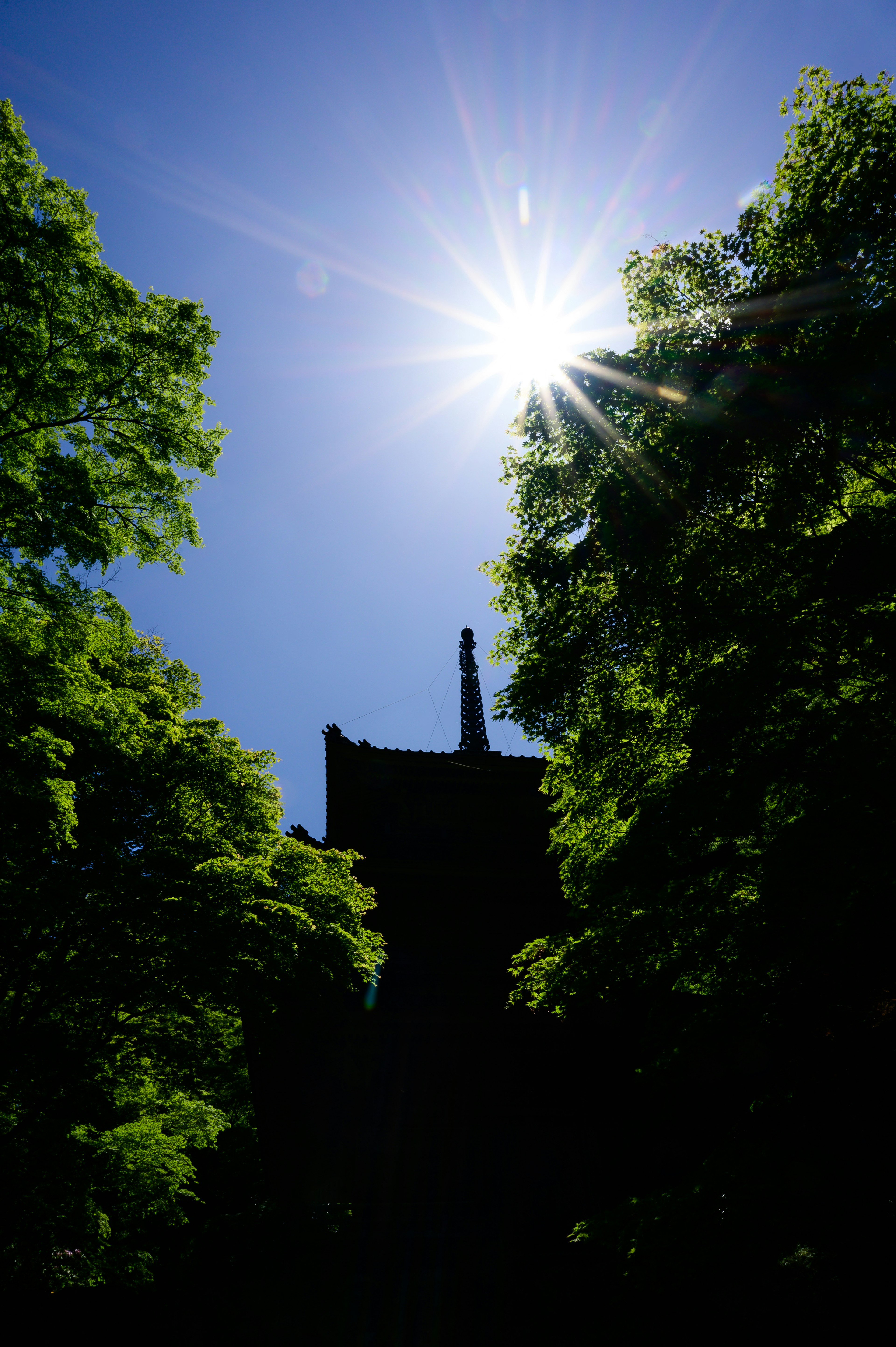 Sonne, die hell hinter der Silhouette eines Gebäudes, umrahmt von grünen Bäumen, scheint