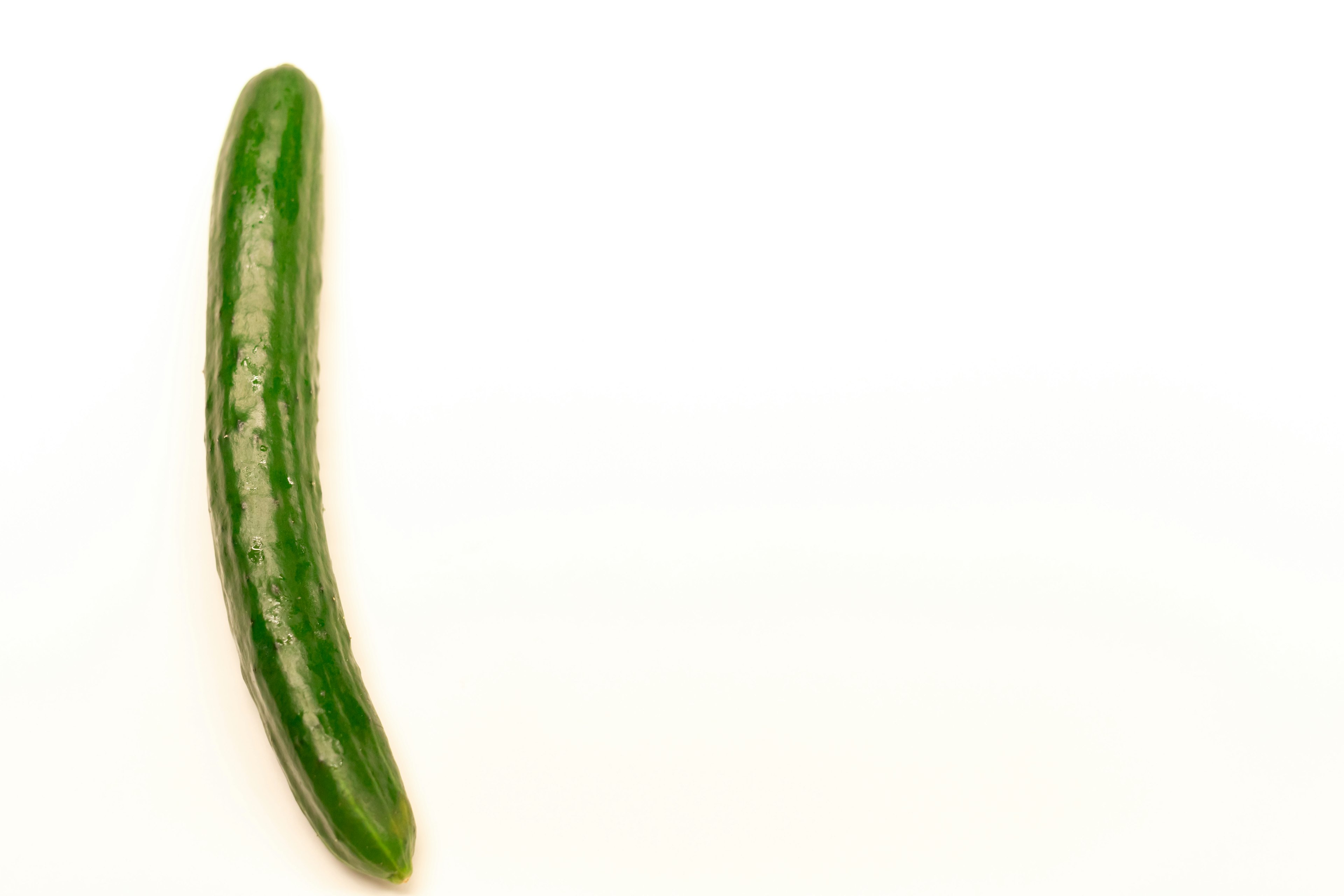 Fresh green cucumber on a white background