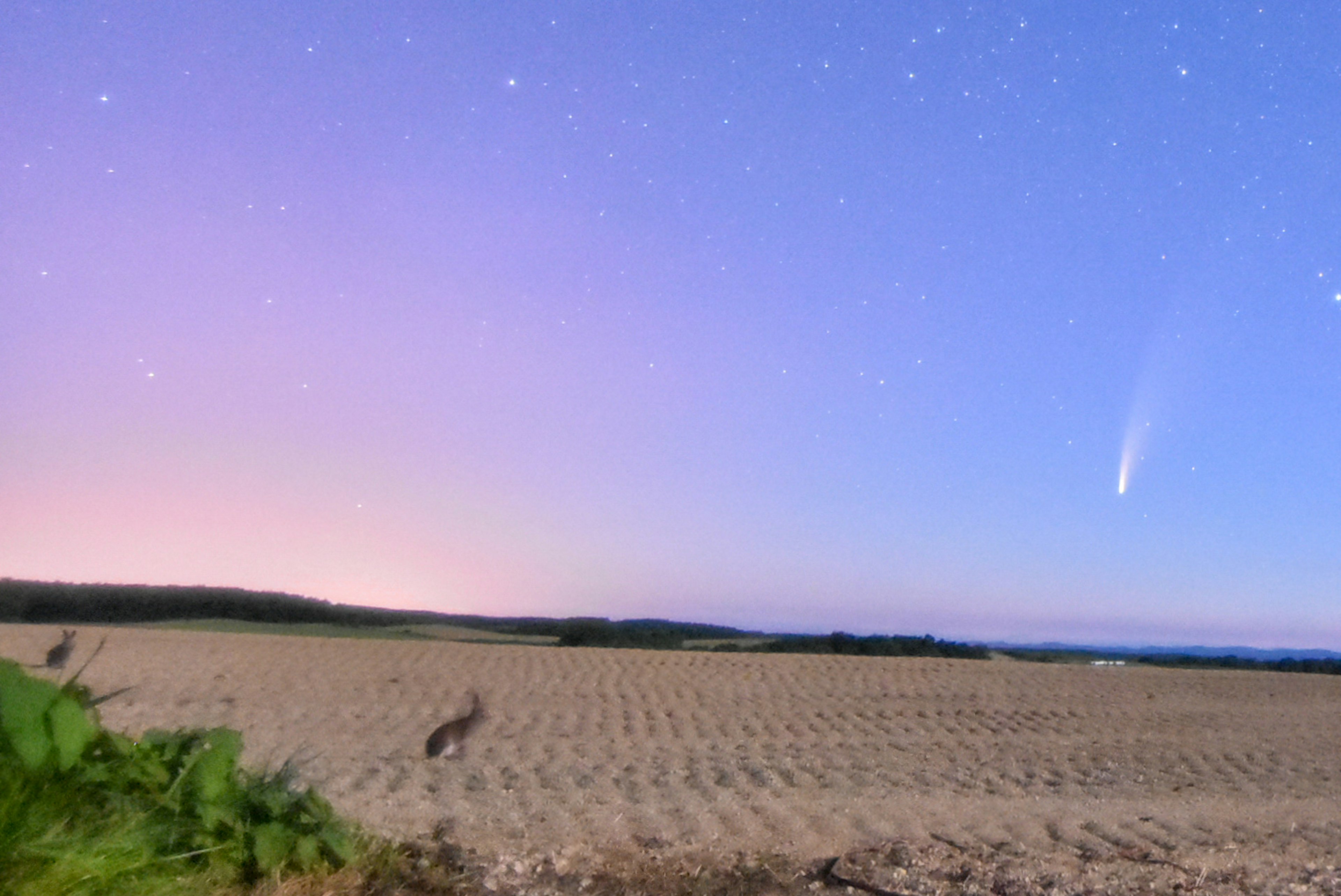 明るい星空に流れ星が見える広大な農地の風景