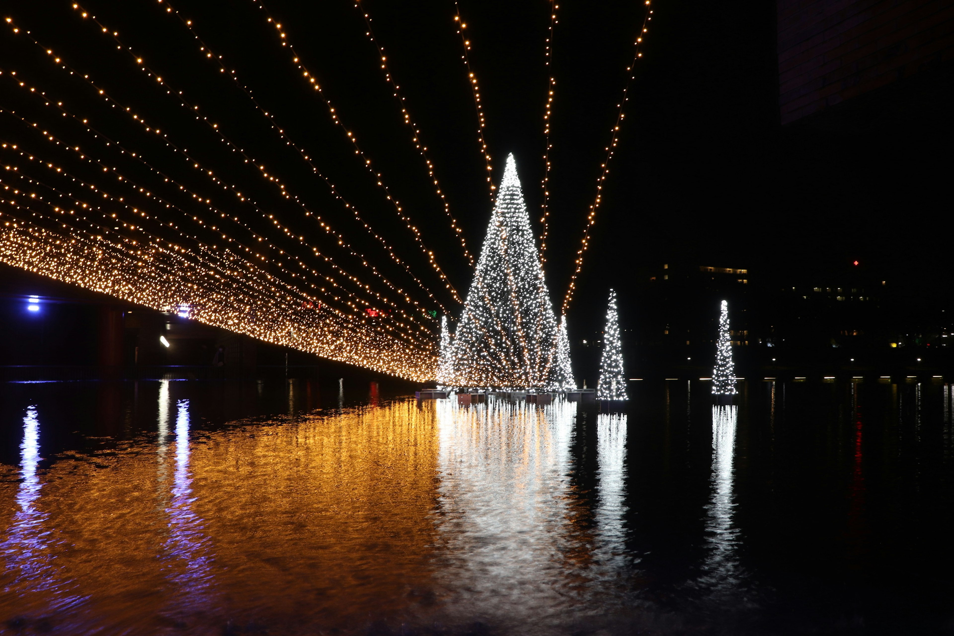 Hermosas luces de Navidad y rayos reflejándose en el agua por la noche