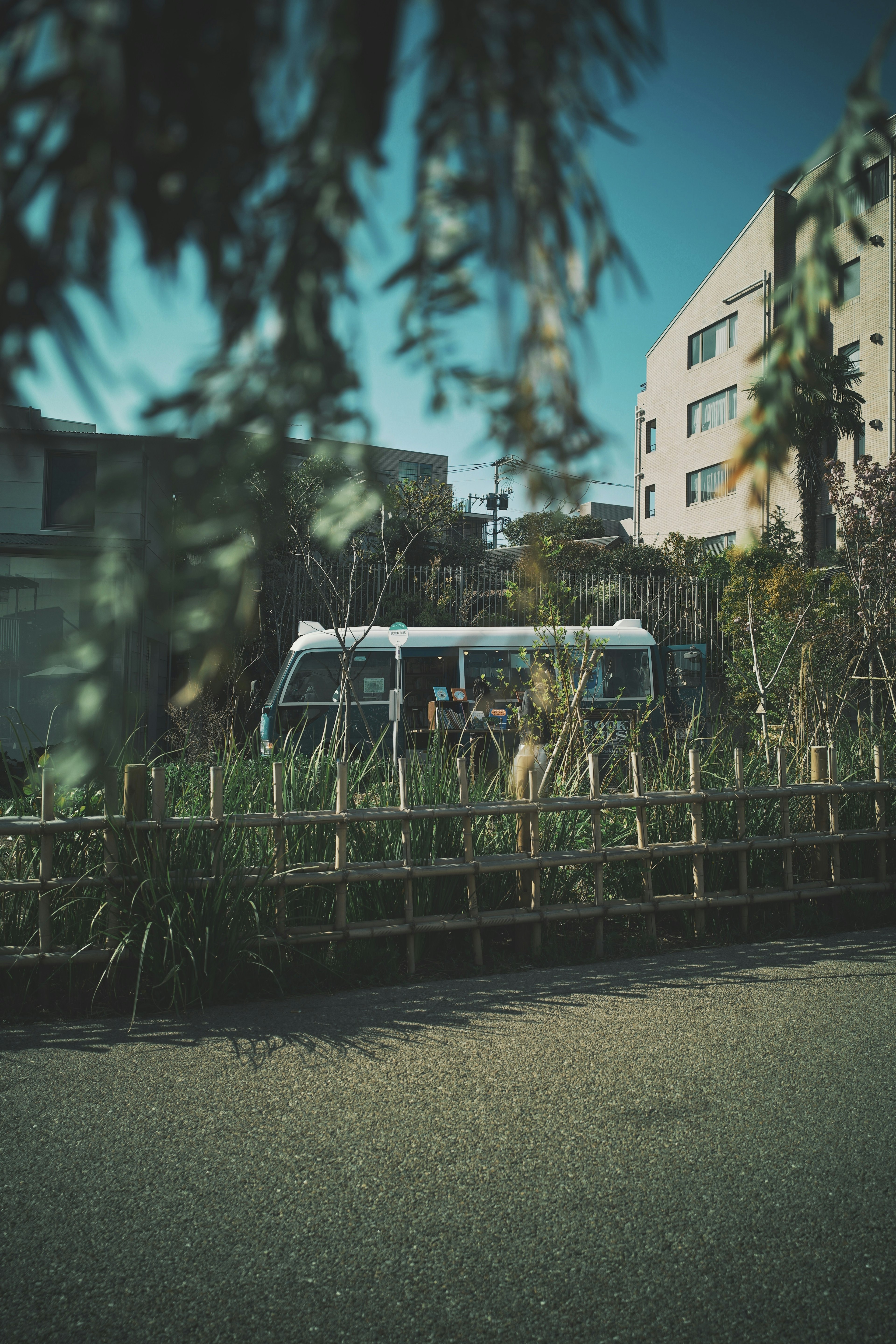 A white van surrounded by greenery in a street scene