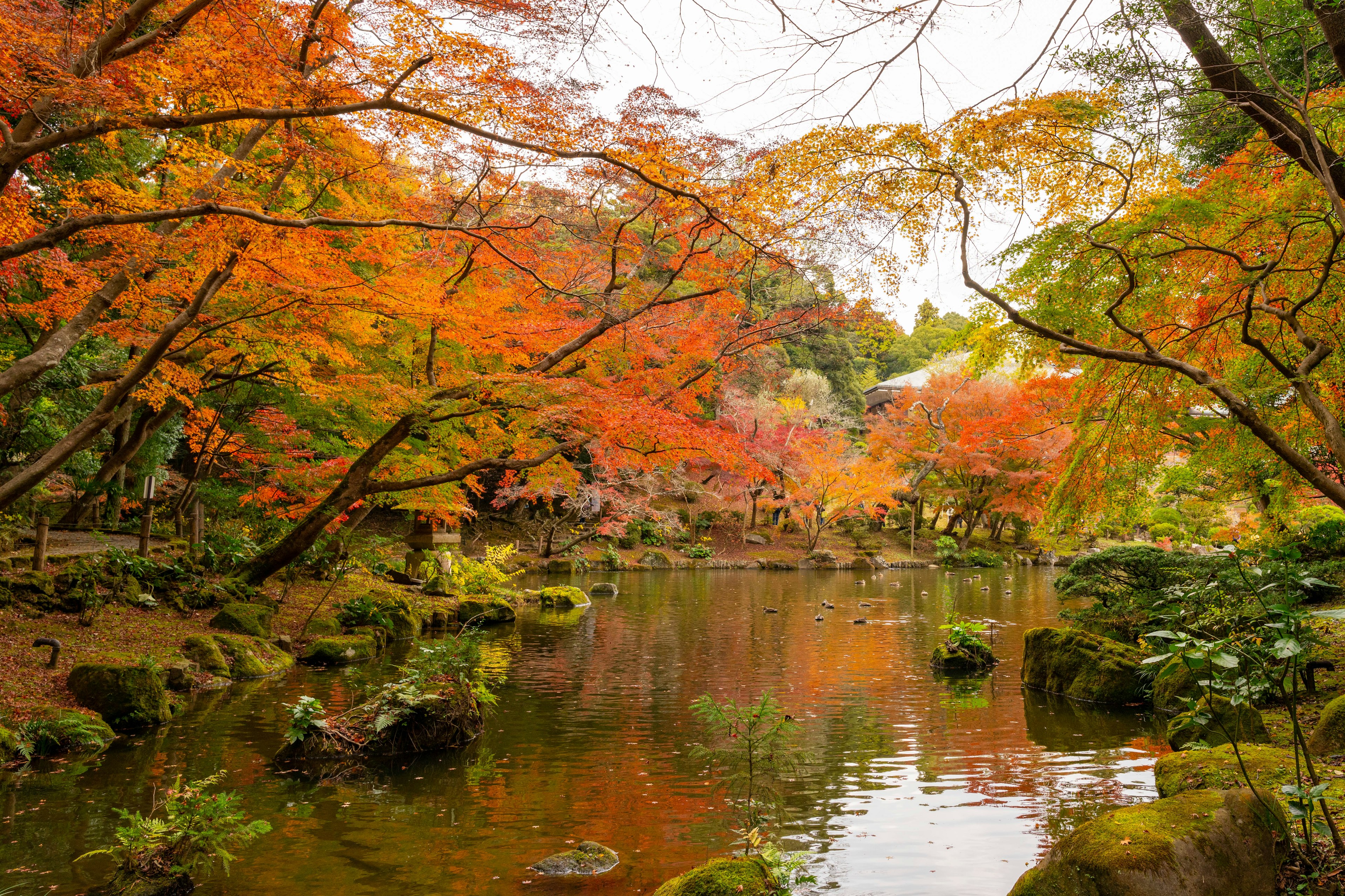 Malersicher Blick auf einen Teich, umgeben von lebhaftem Herbstlaub