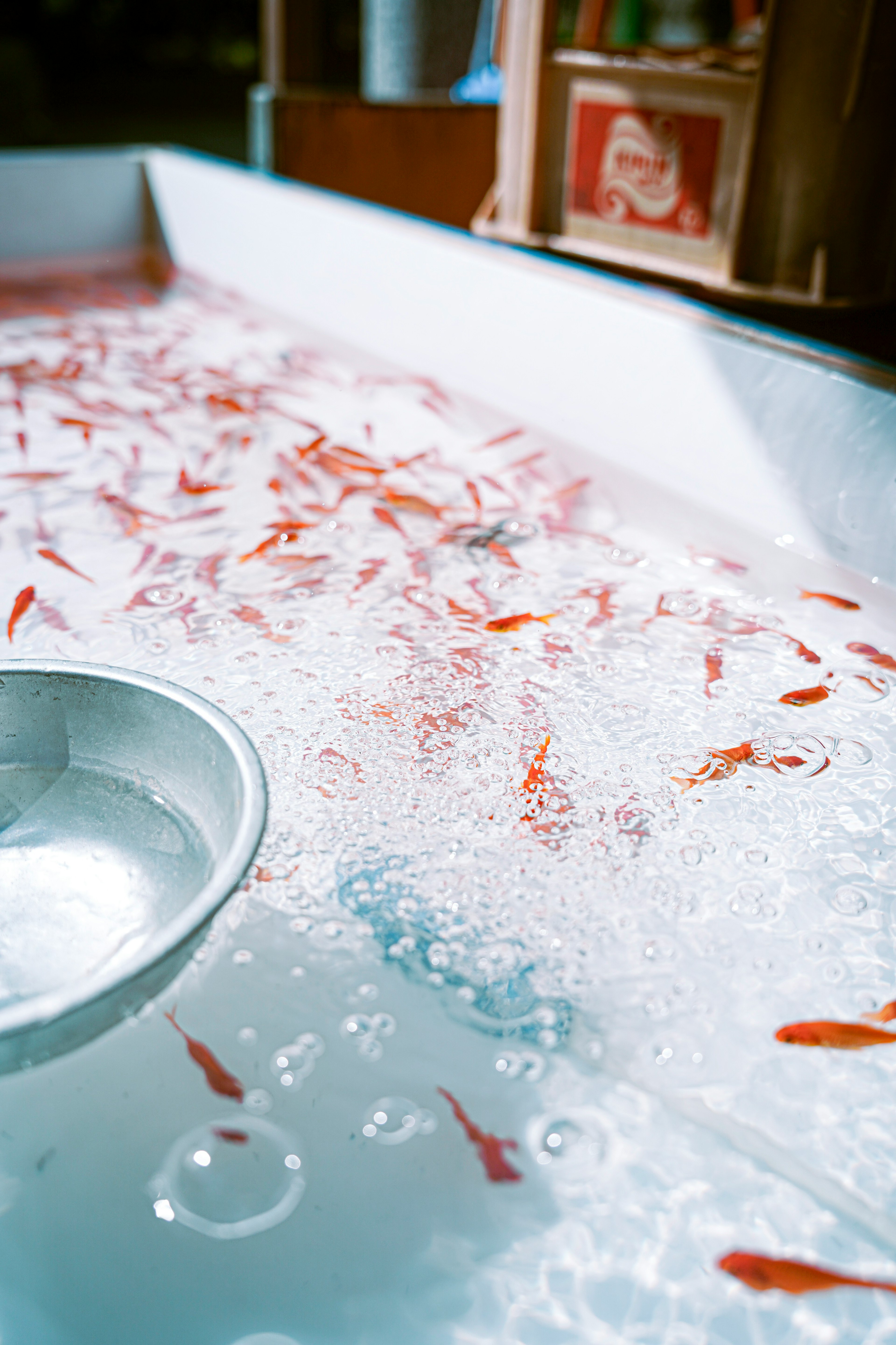 Scene of goldfish swimming in a clear tank with a bowl and bubbles