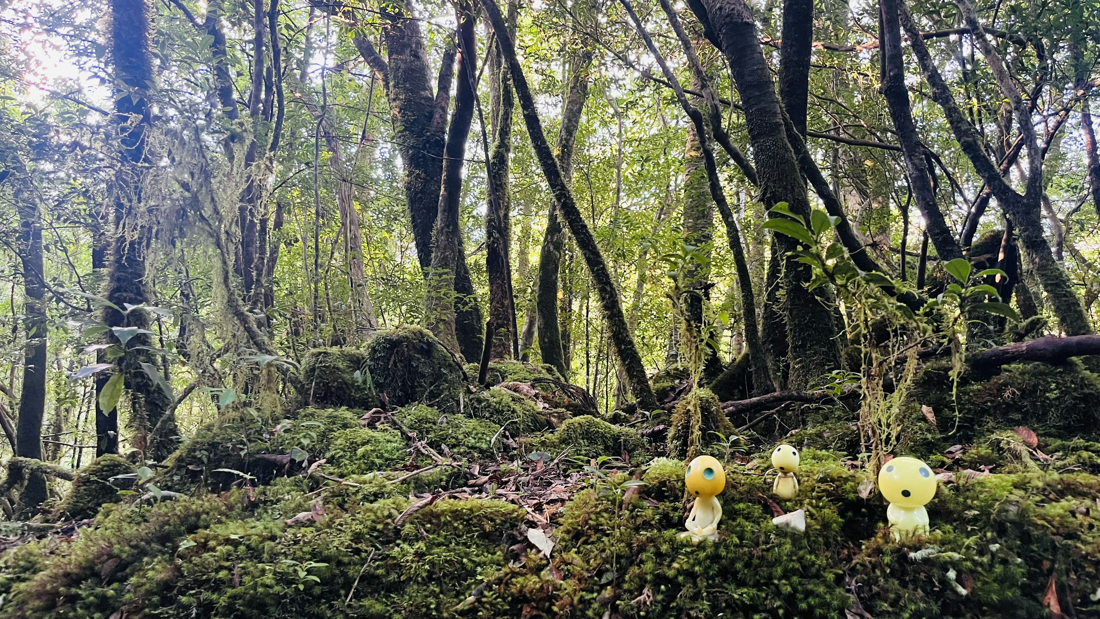 Personajes amarillos de pie sobre musgo en un bosque exuberante