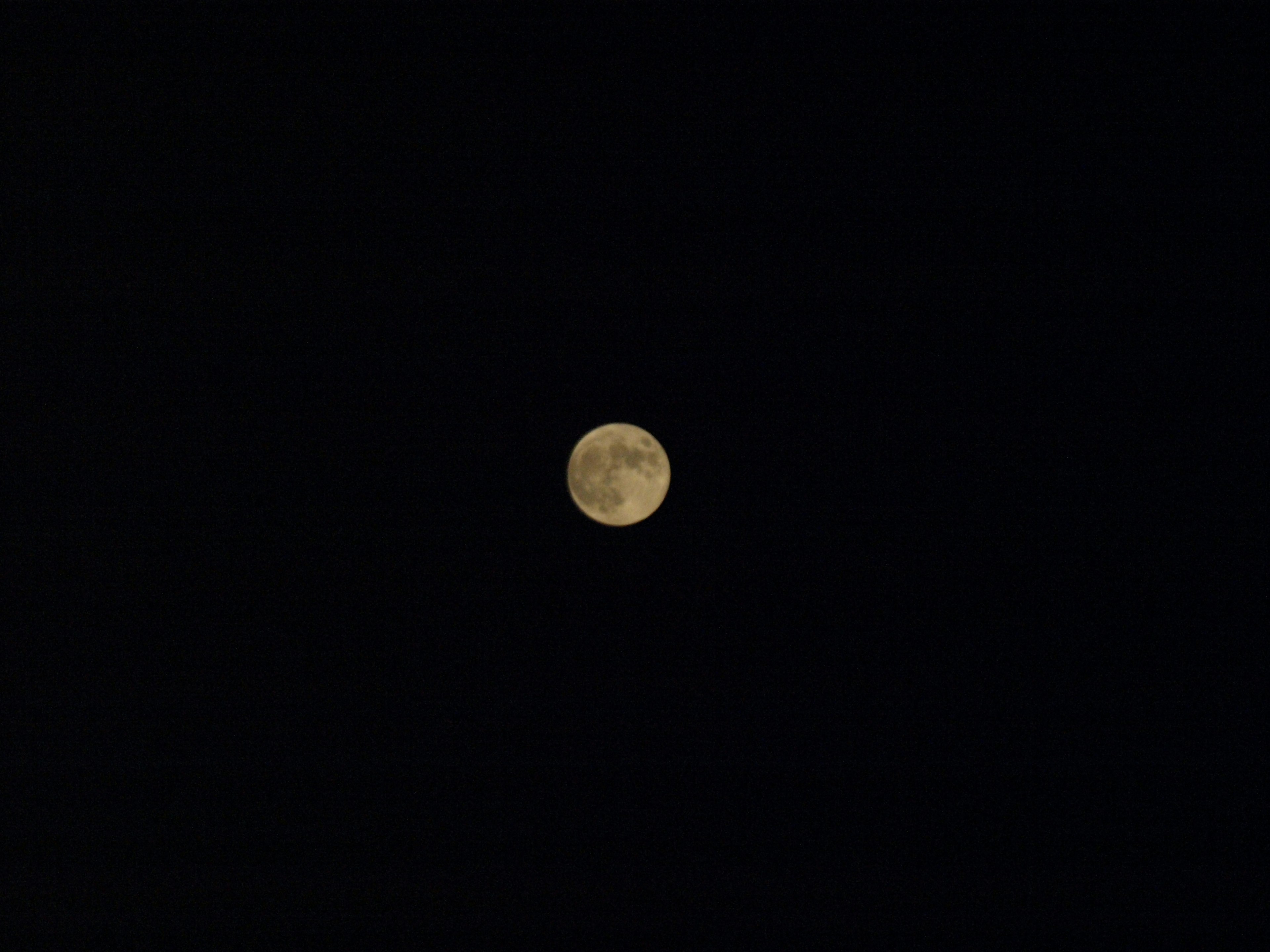 Bright moon in the night sky