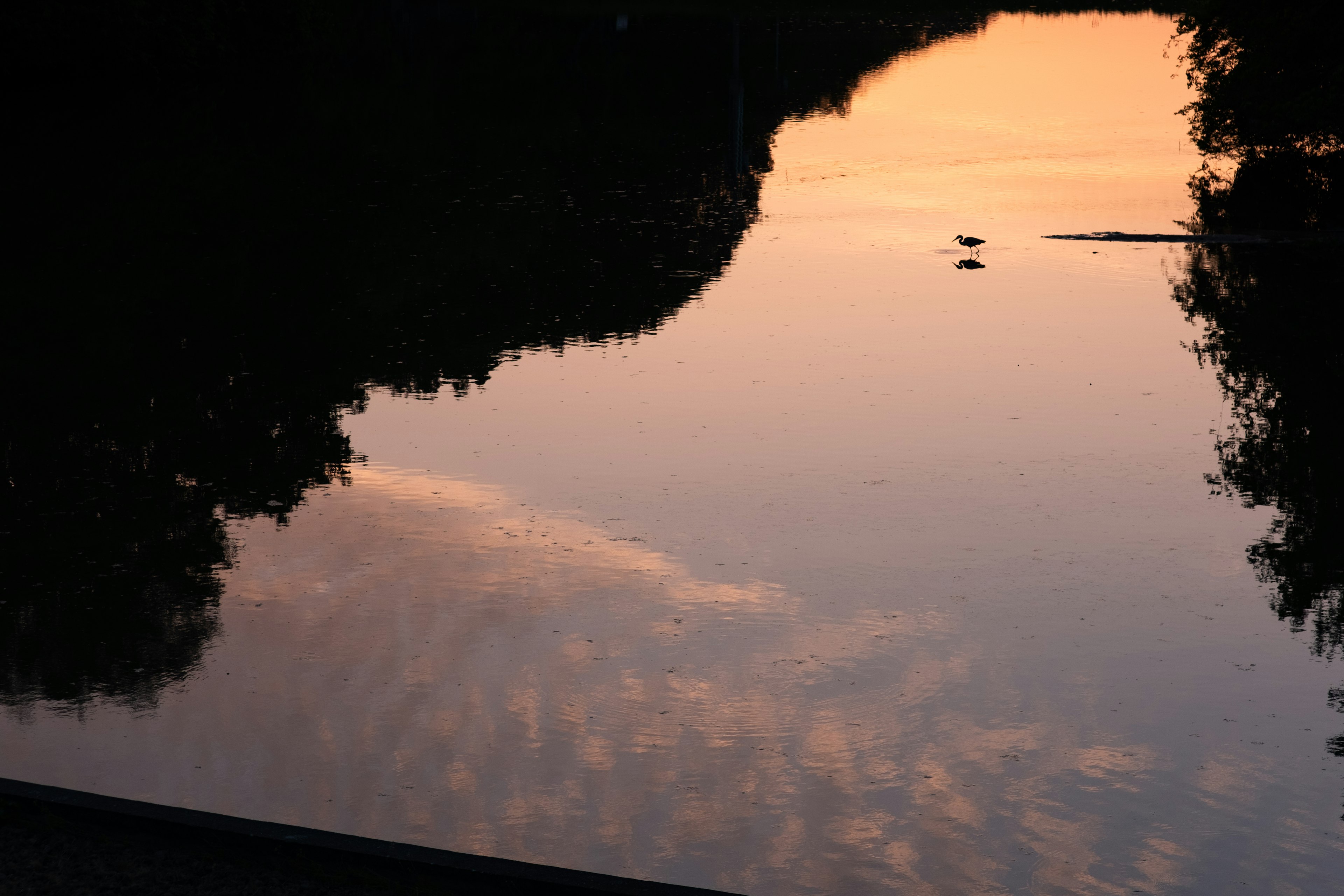 夕焼けの反射が美しい静かな水面の風景