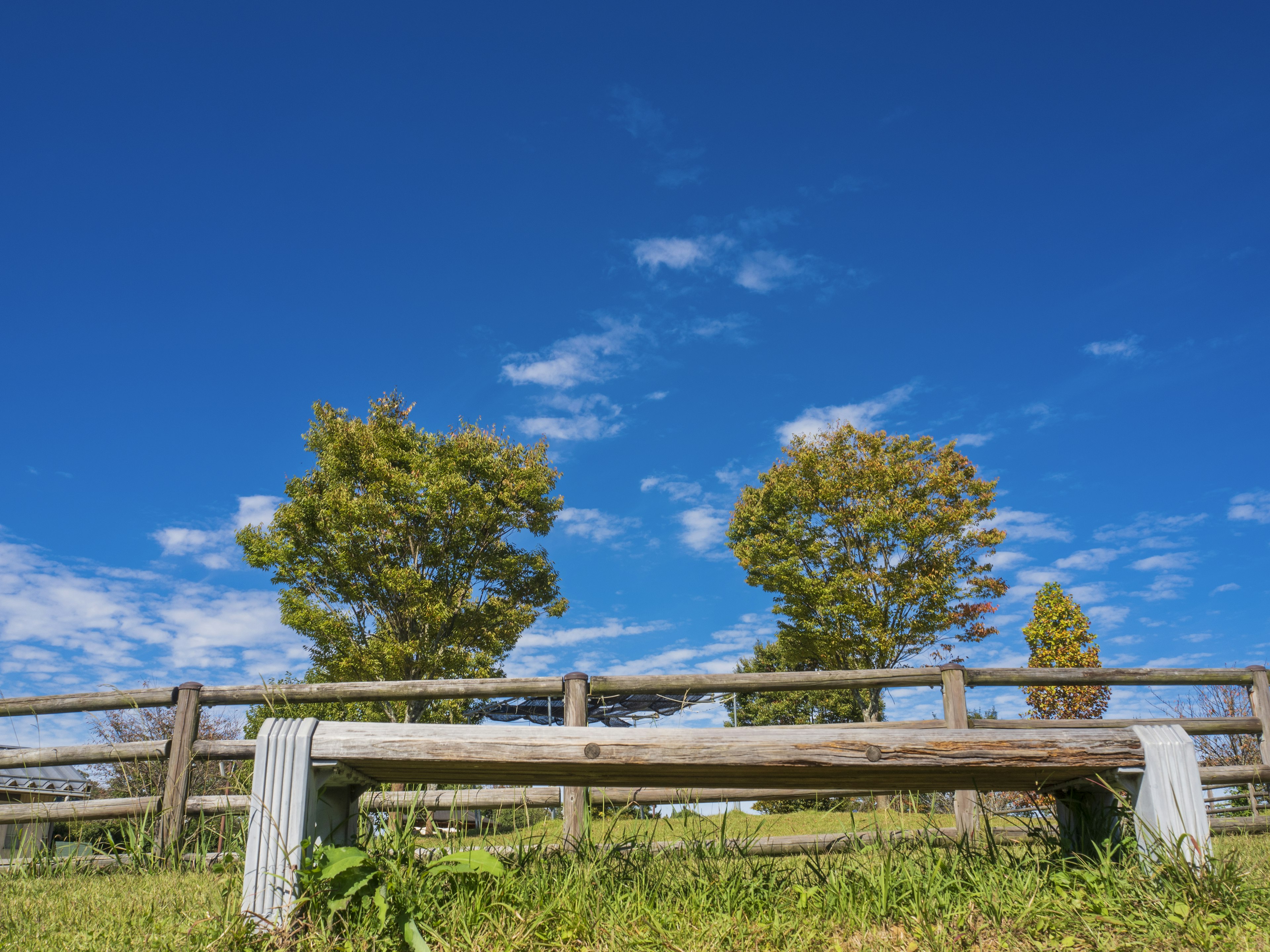 Wooden bench and fence surrounded by green grass under a blue sky