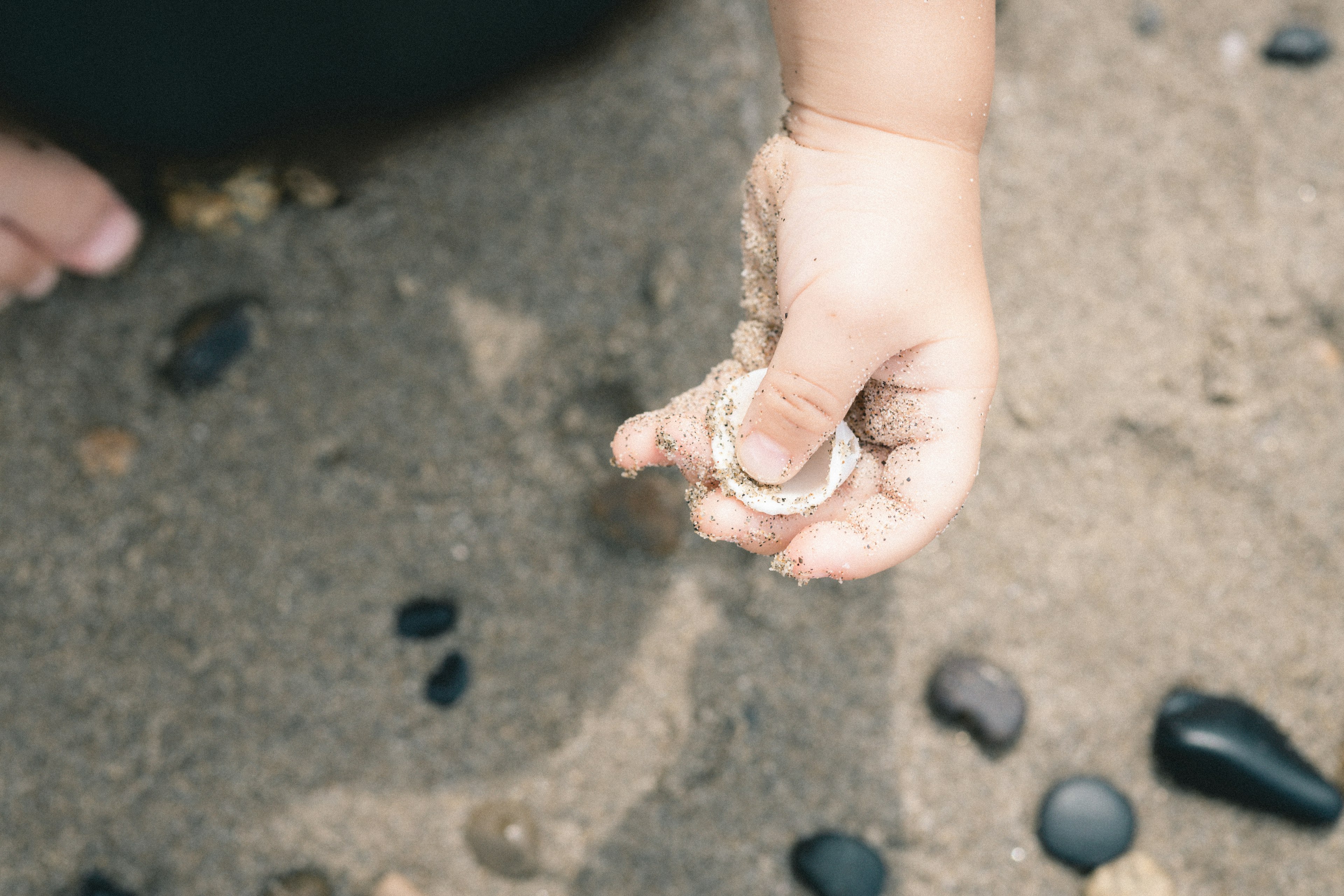 Tangan anak memegang kerang di pantai