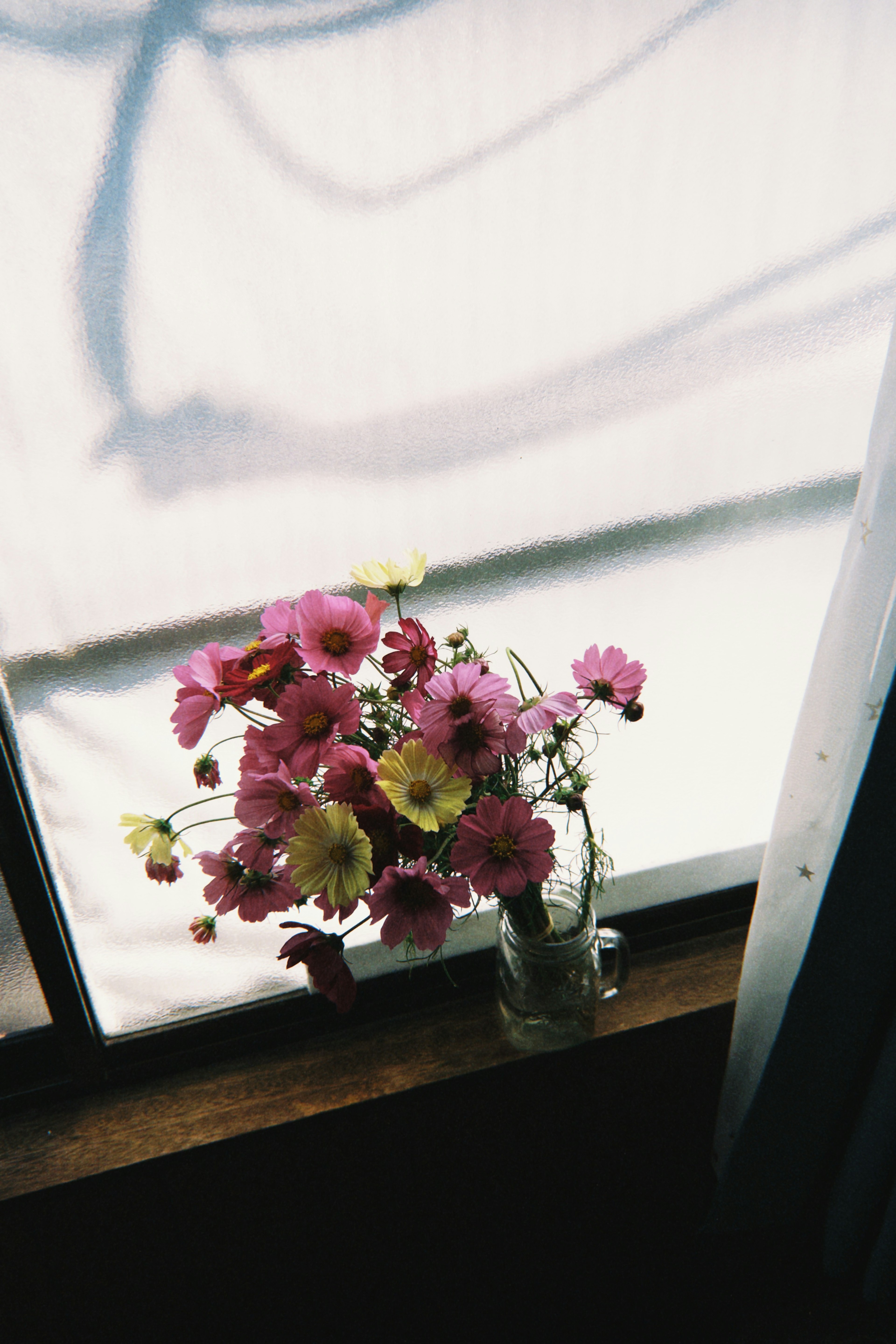 A vase of pink and yellow flowers placed by a window