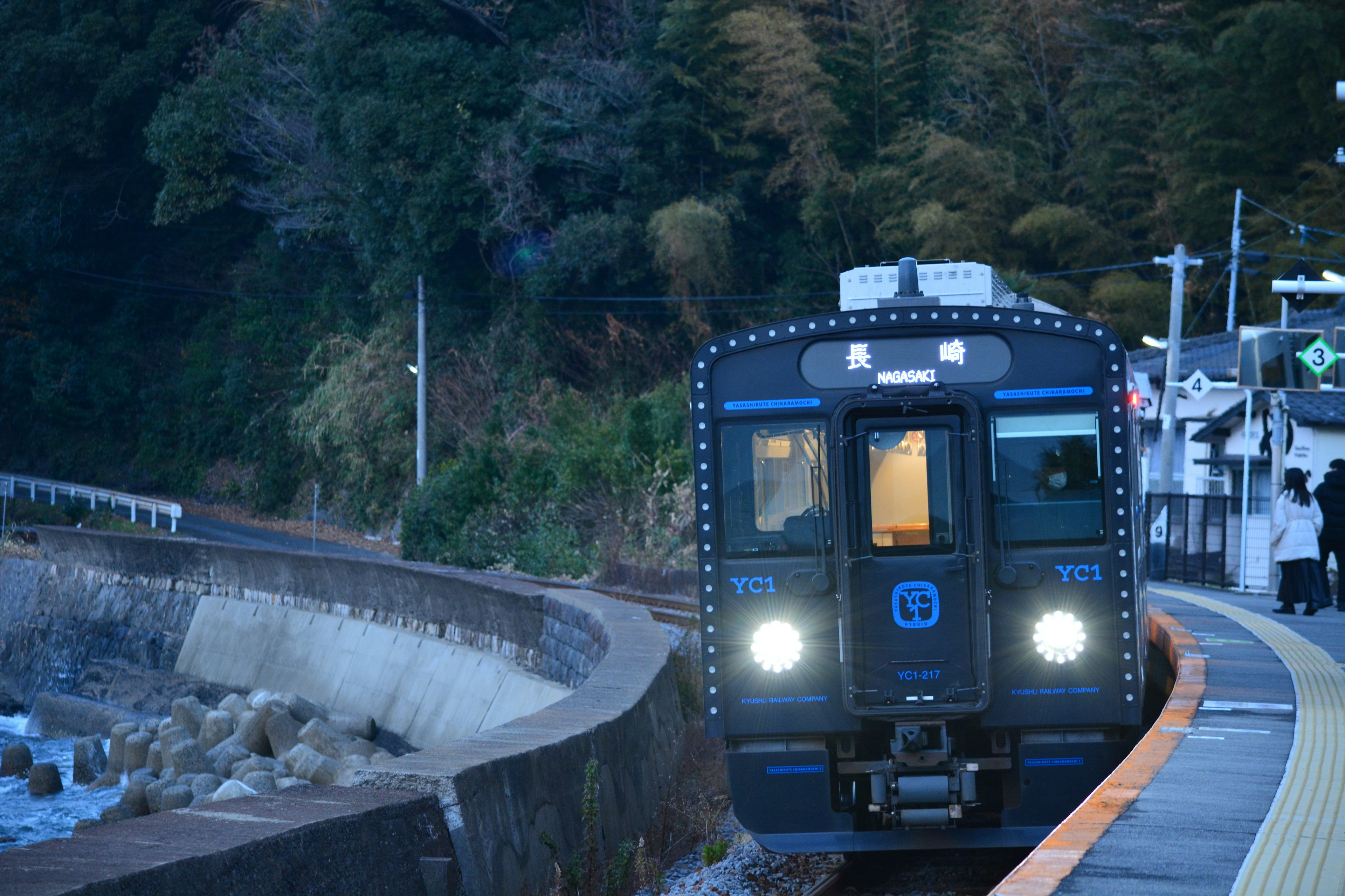 Un treno blu che arriva a una stazione costiera