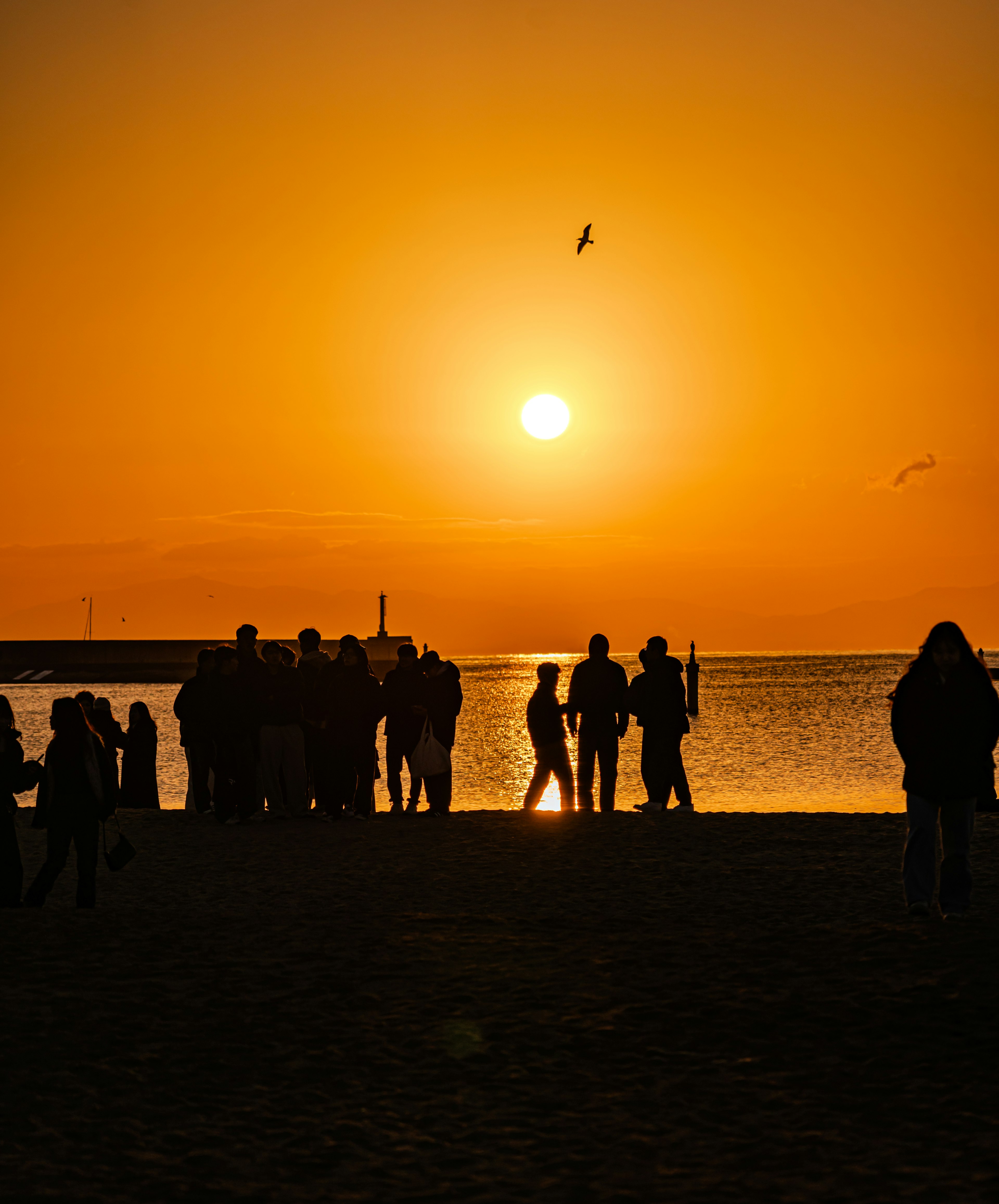 海边夕阳下的人们的轮廓