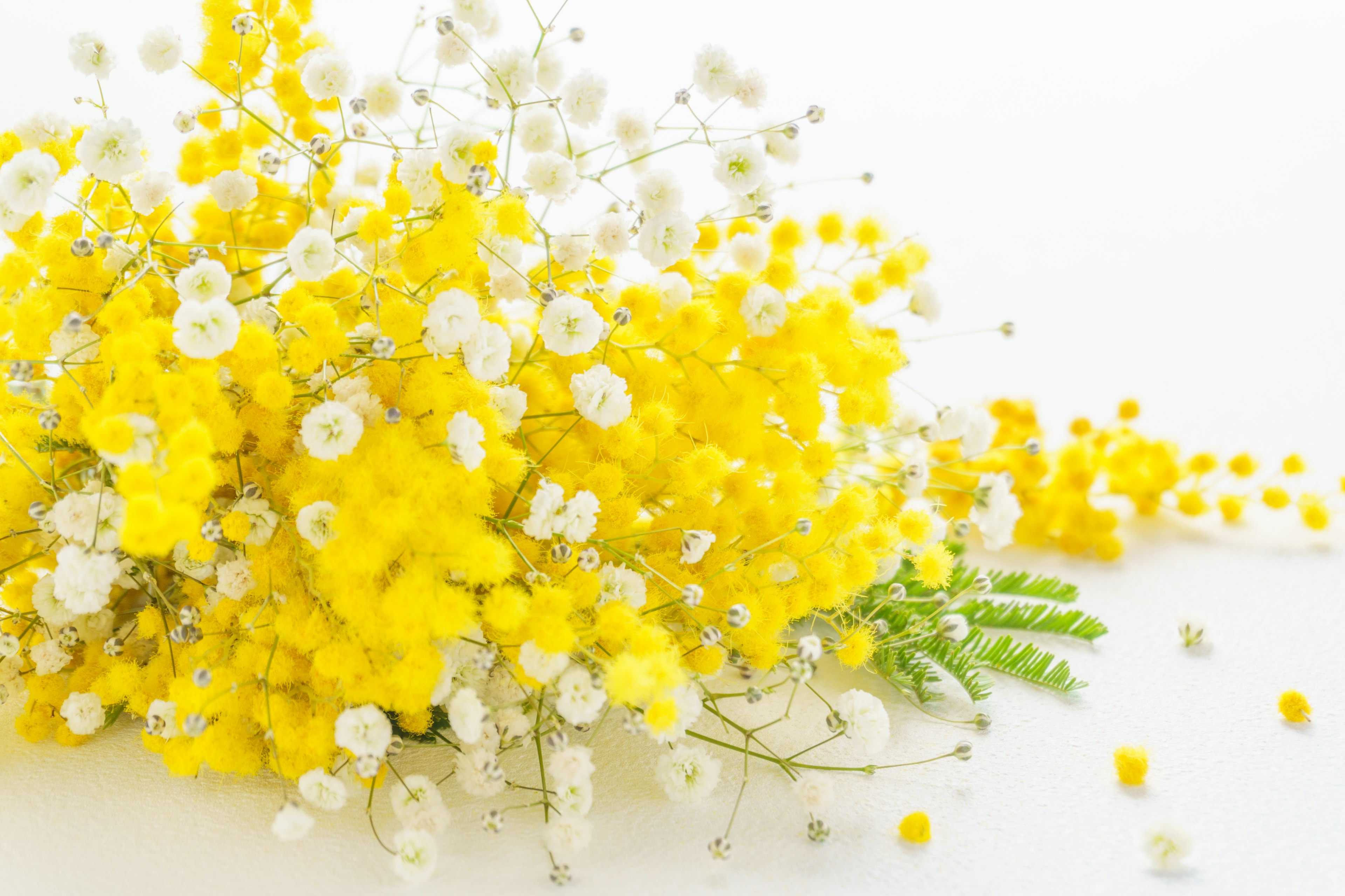 Ein Strauß aus gelben Mimoseblüten und kleinen weißen Blüten