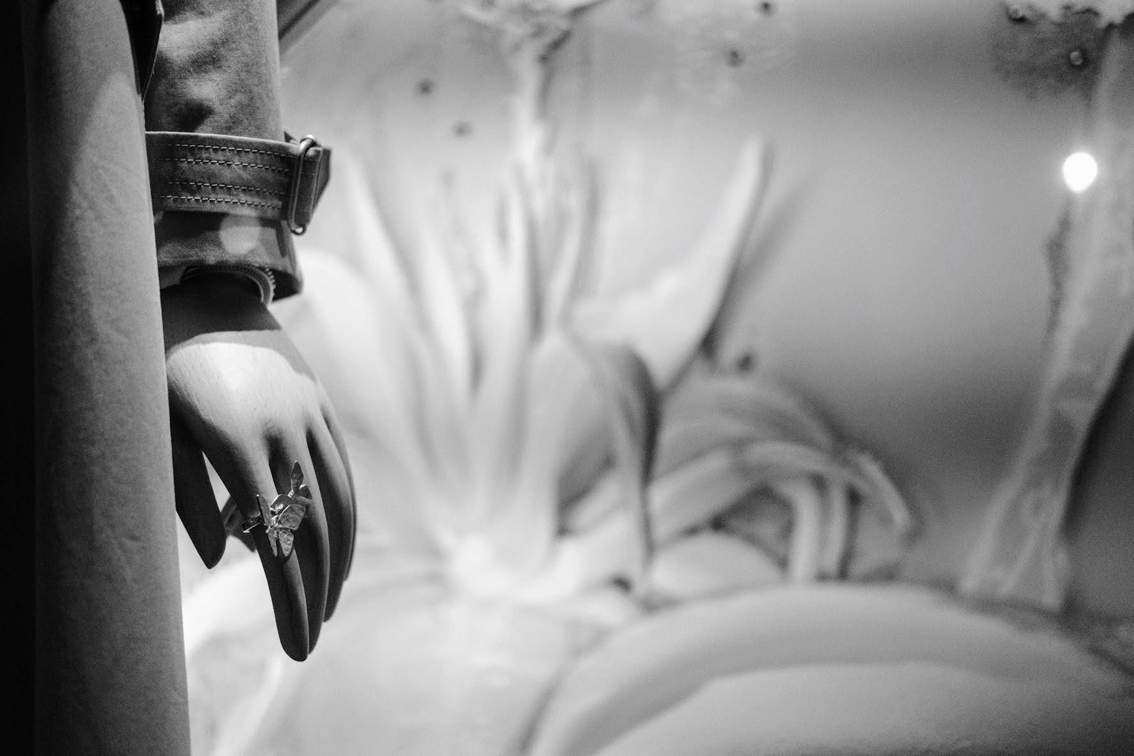 A mannequin's arm holding a ring with a background of artistic plants