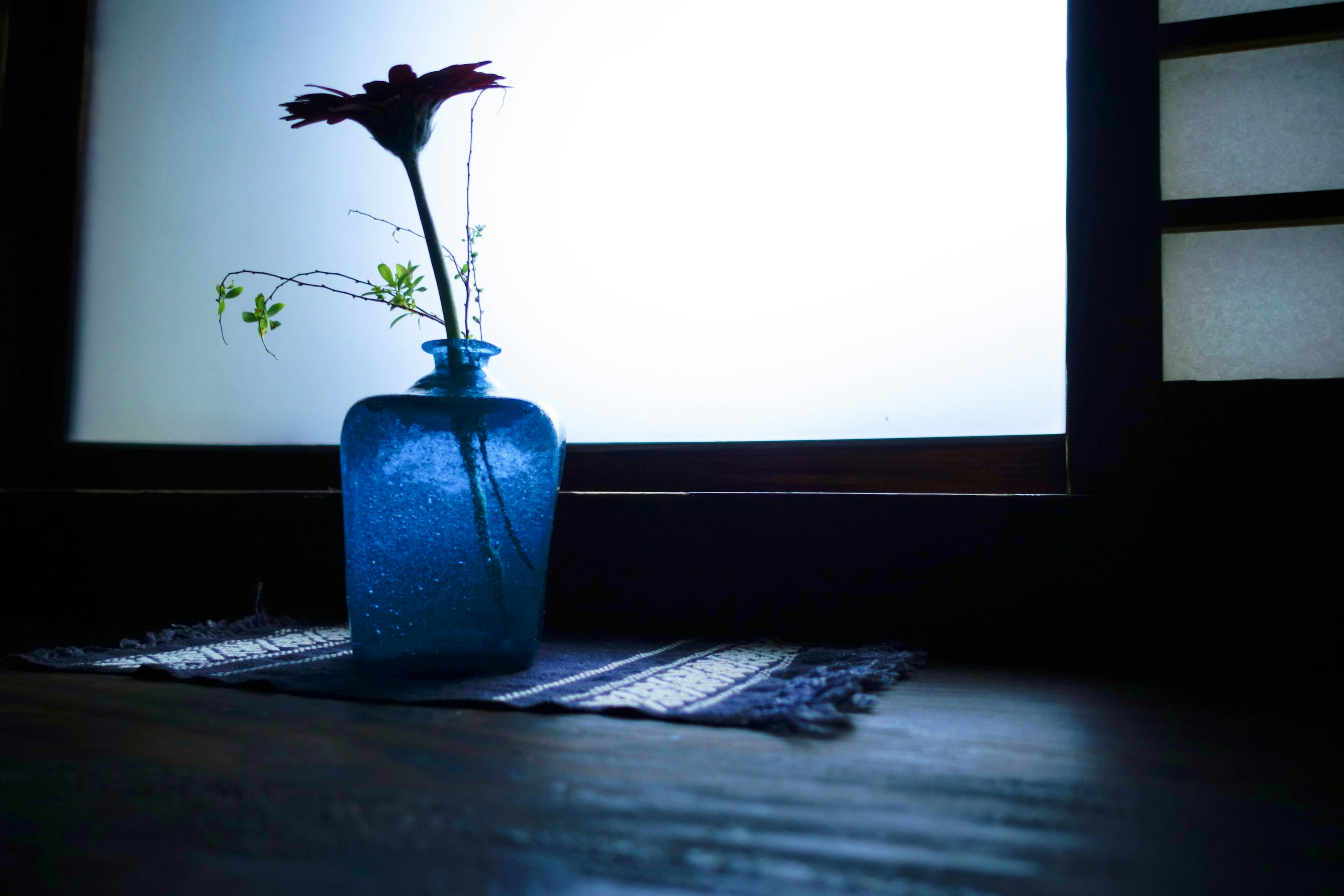 Una escena interior serena con un jarrón azul con una flor