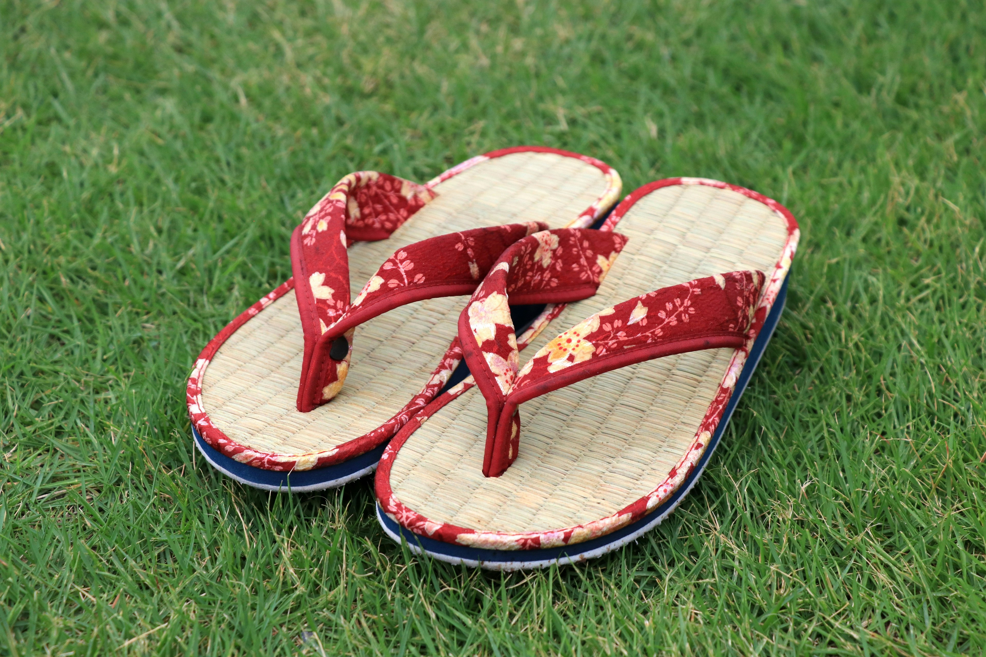 Red floral patterned flip-flops placed on green grass