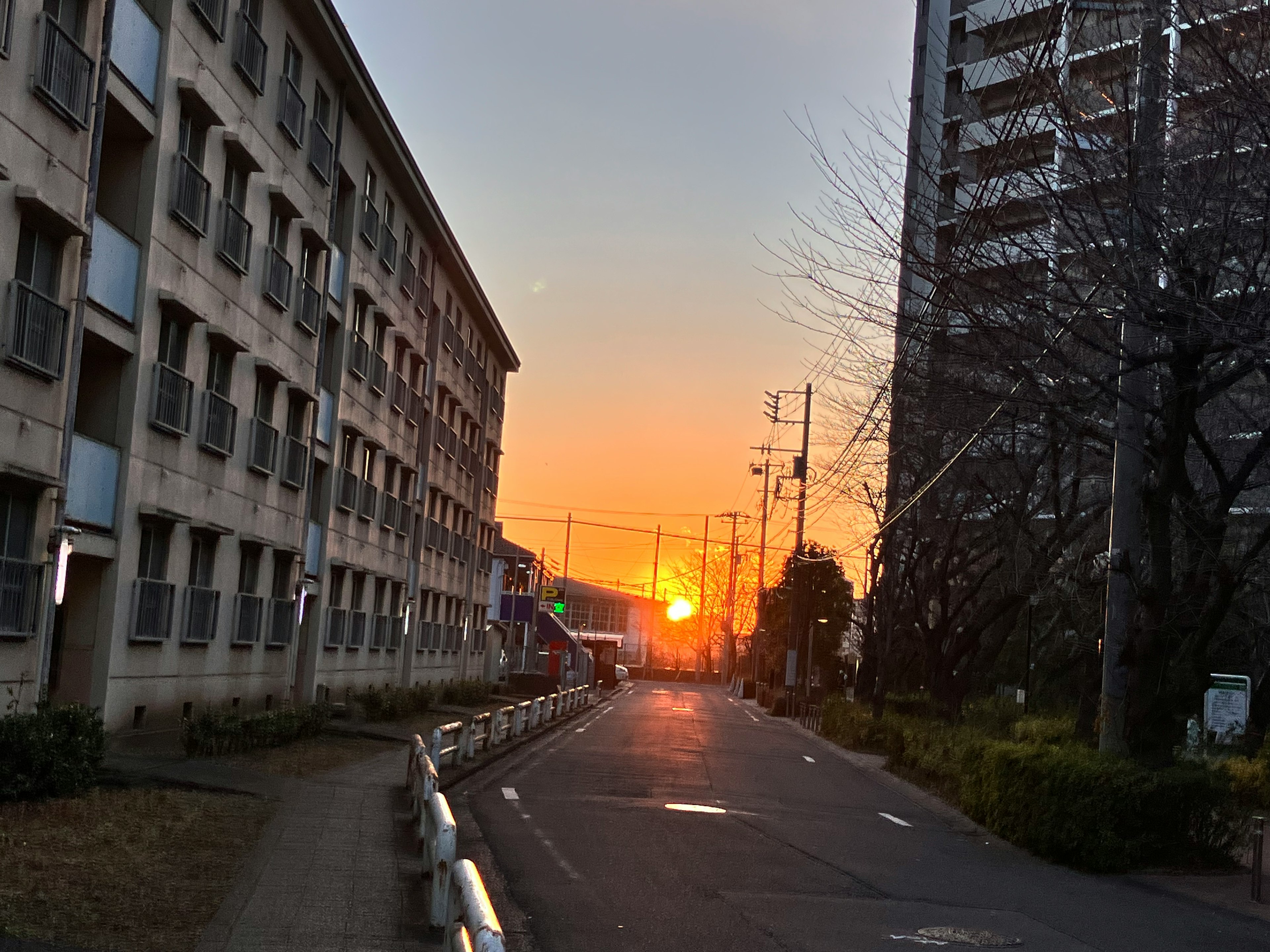 夕日が見える街路と建物の風景