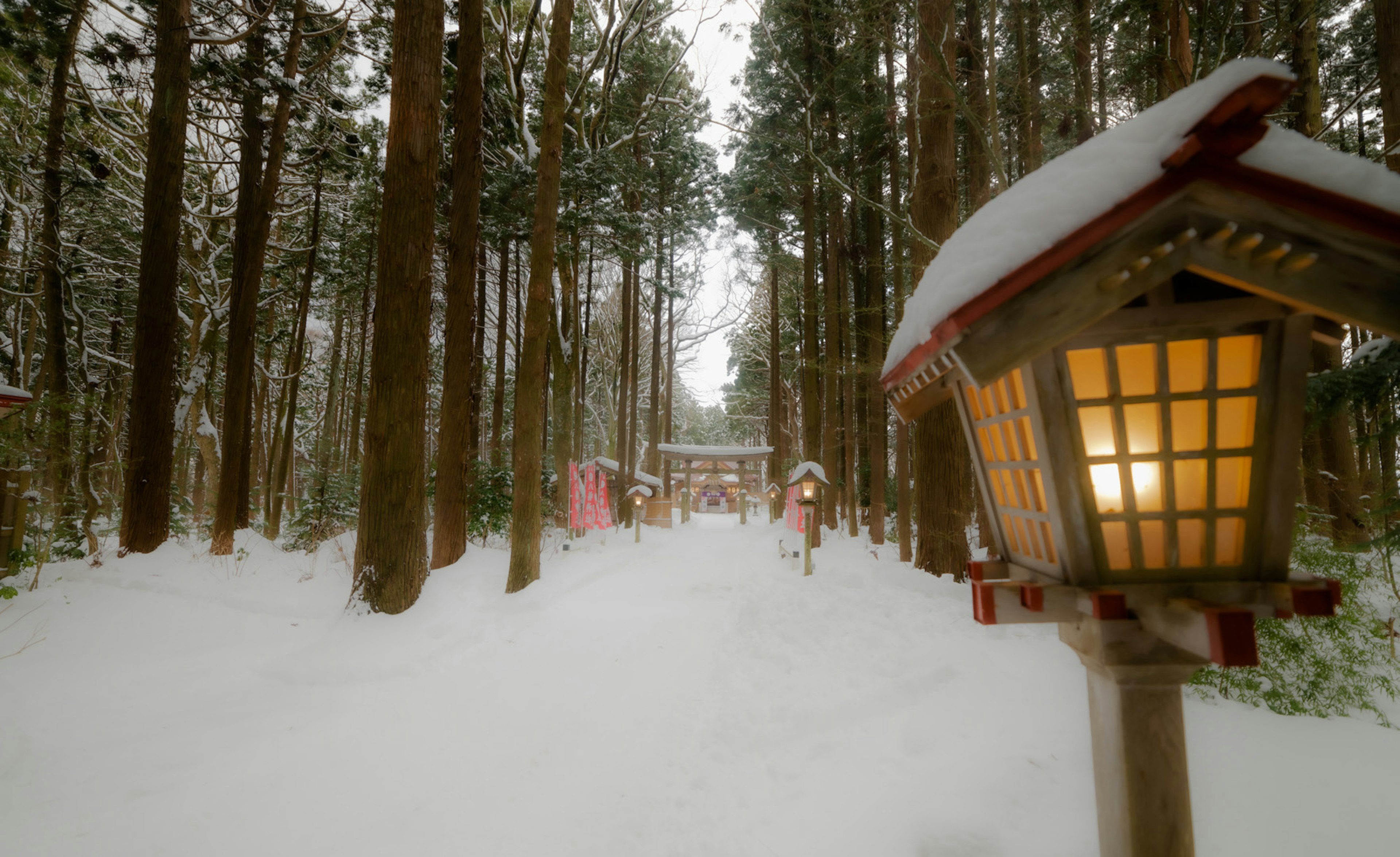 Lanterne et chemin dans une forêt enneigée