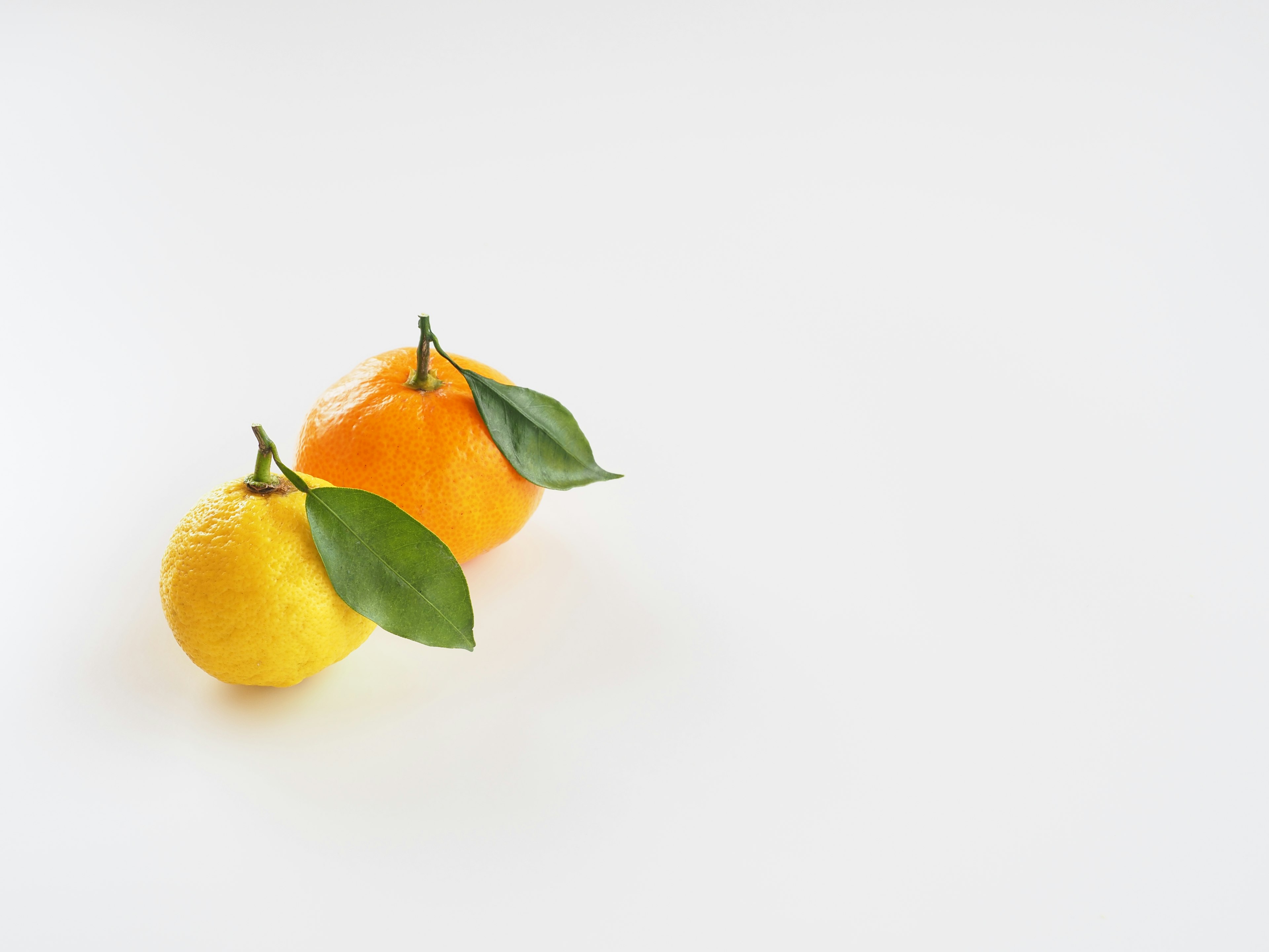 Frutas cítricas amarillas y naranjas con hojas sobre un fondo blanco sencillo