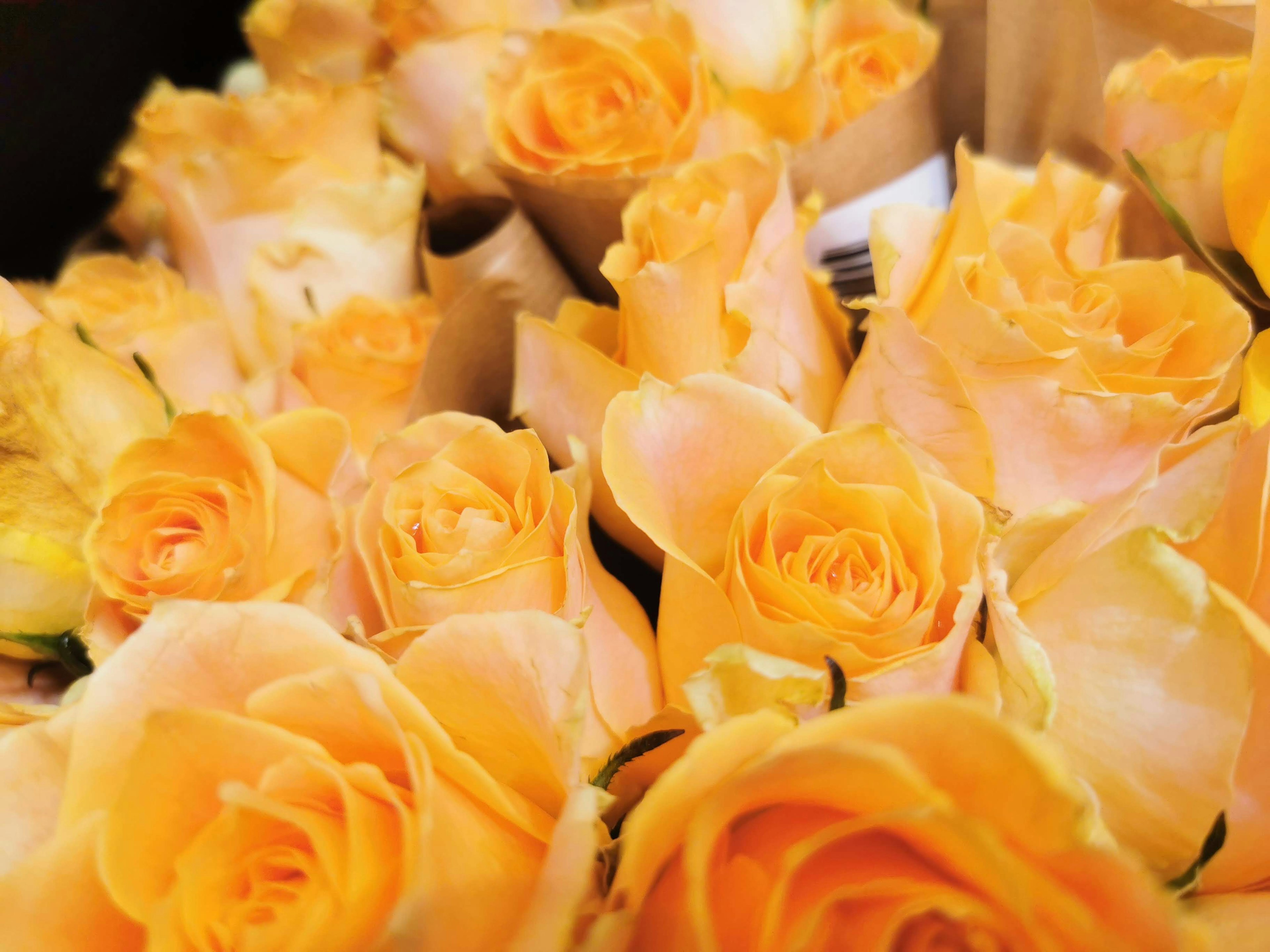 A close-up of a bouquet of orange roses densely packed together