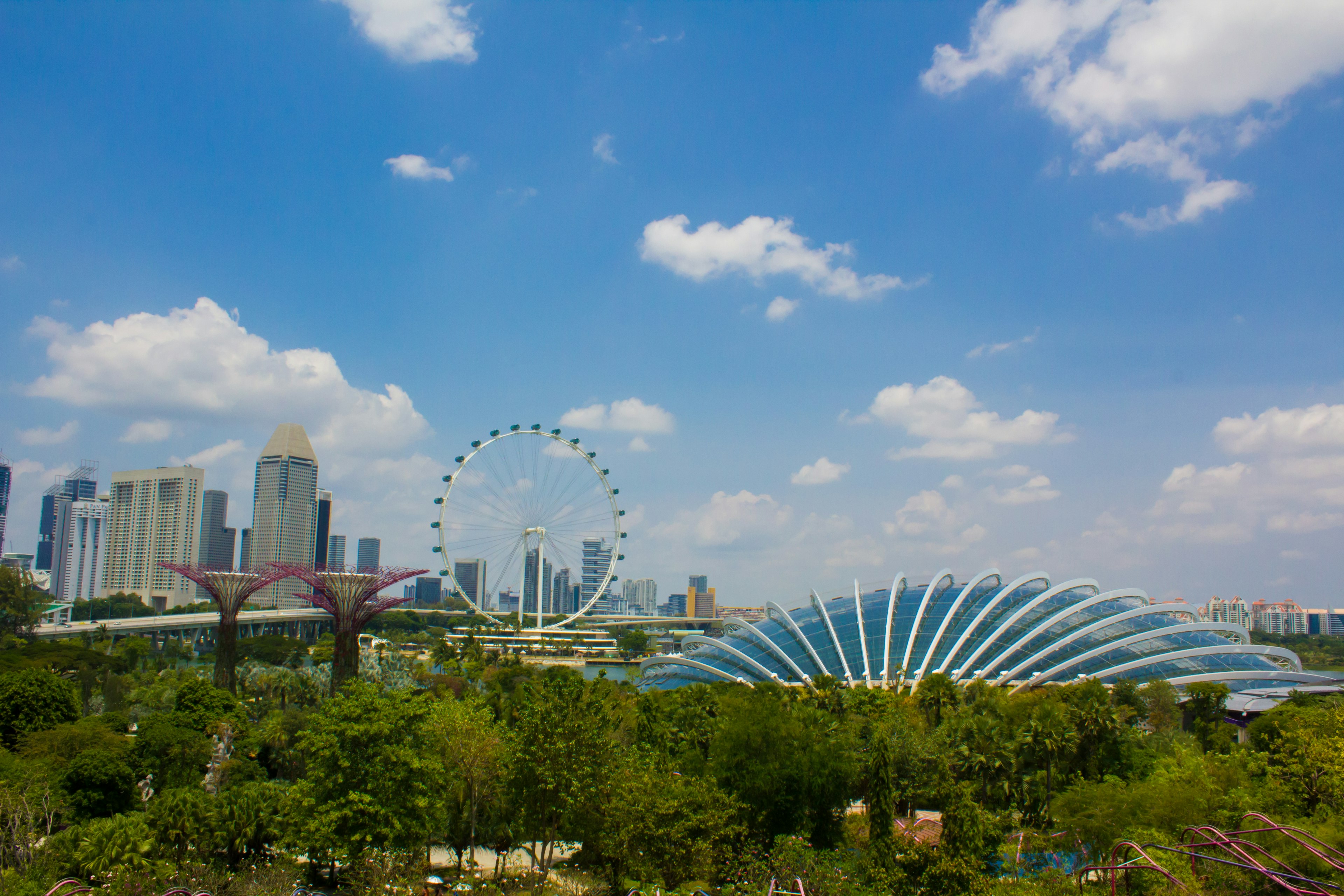 ทิวทัศน์ที่สวยงามของสิงคโปร์ที่มีชิงช้าสวรรค์และสถาปัตยกรรมของสวนริมอ่าว